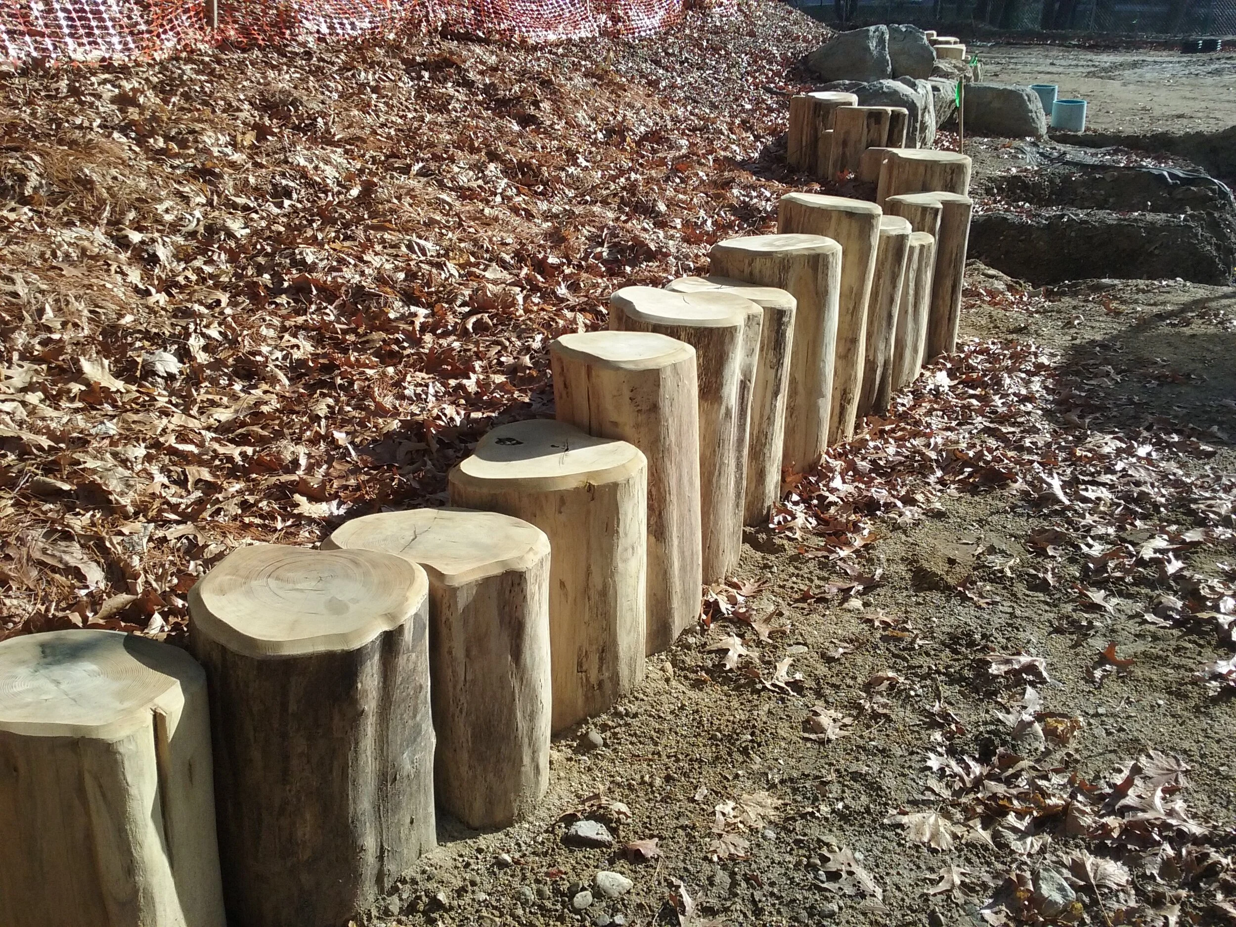 20161209_111213.jpg
