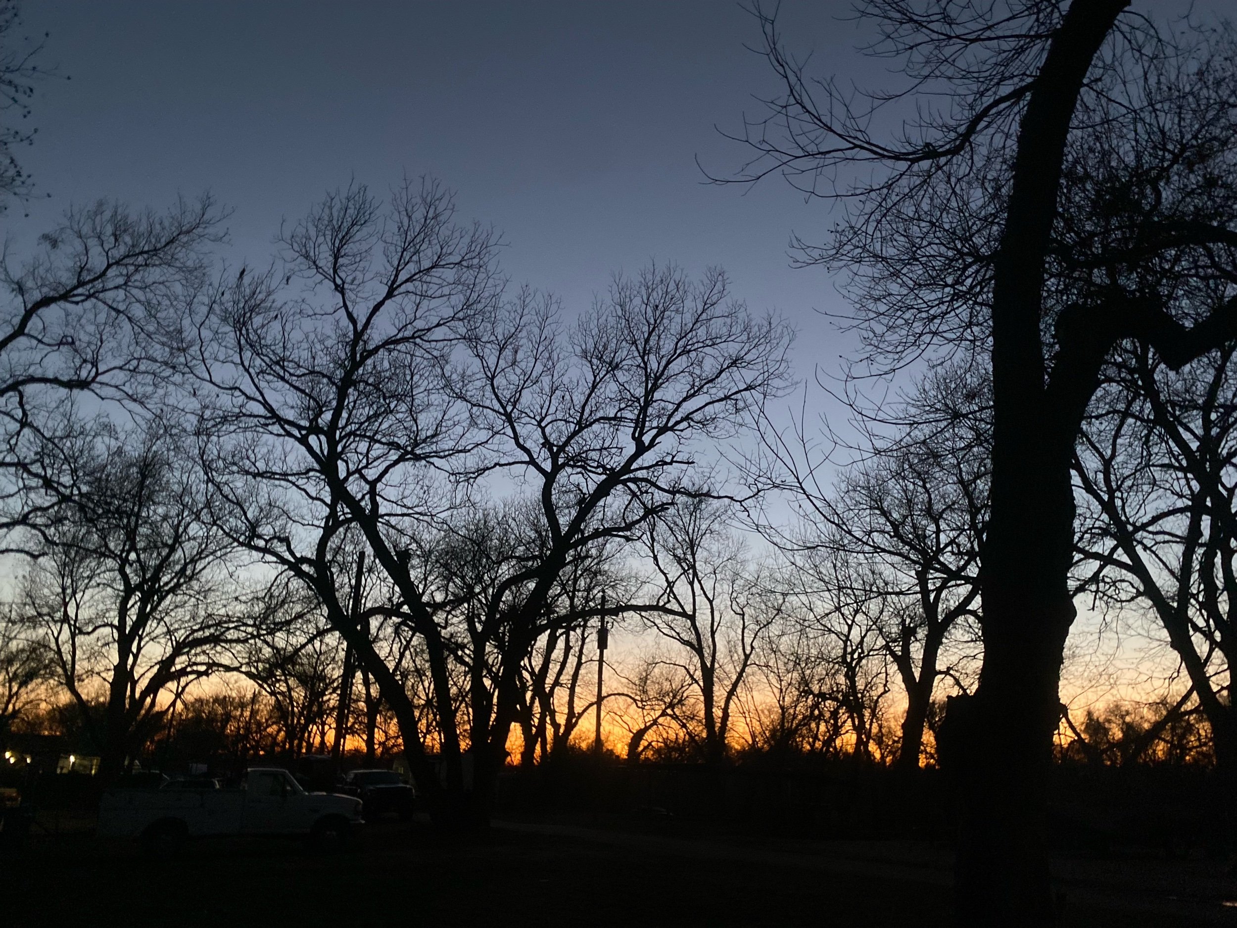 IMG_6905.jpeg