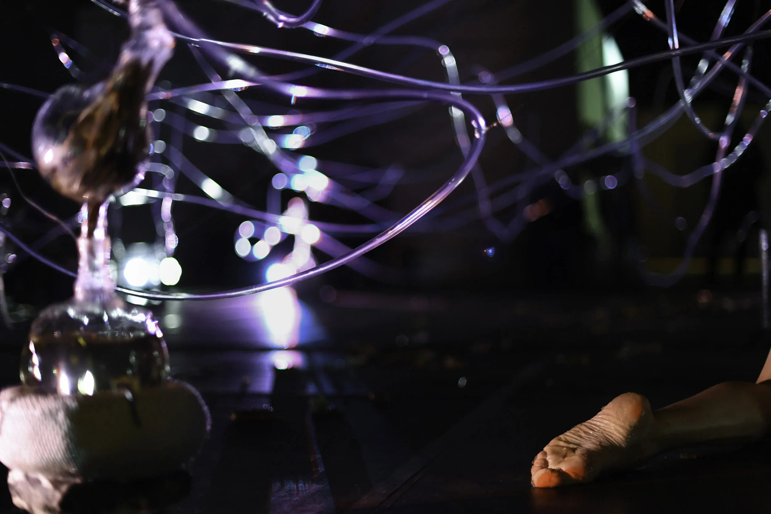 BASIC TRANSMUTATION- Alien/Migration, Aniara Rodado, Jean-Marc Chomaz et Óscar Martín, performance.