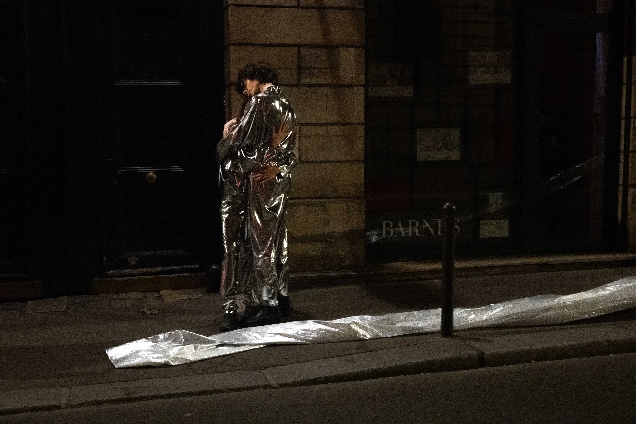NOCE / ÉTREINTE D'ARGENT, by Diane Chery