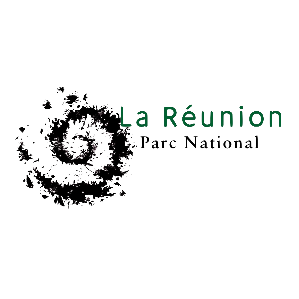 logo Réunion parc national sans fond.png