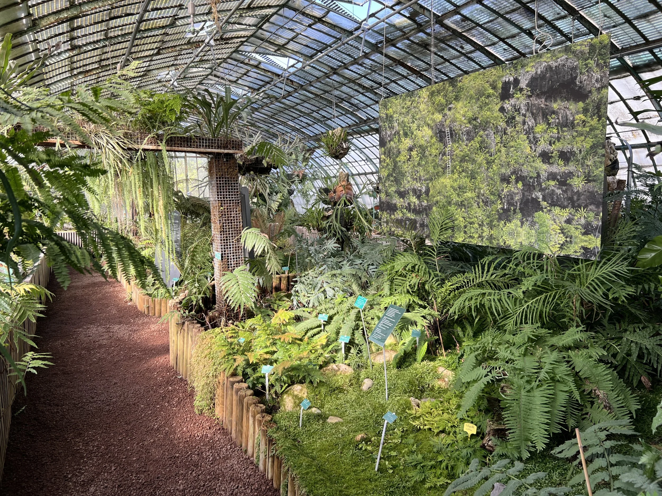 Voir le Vivant Autrement - Exposition