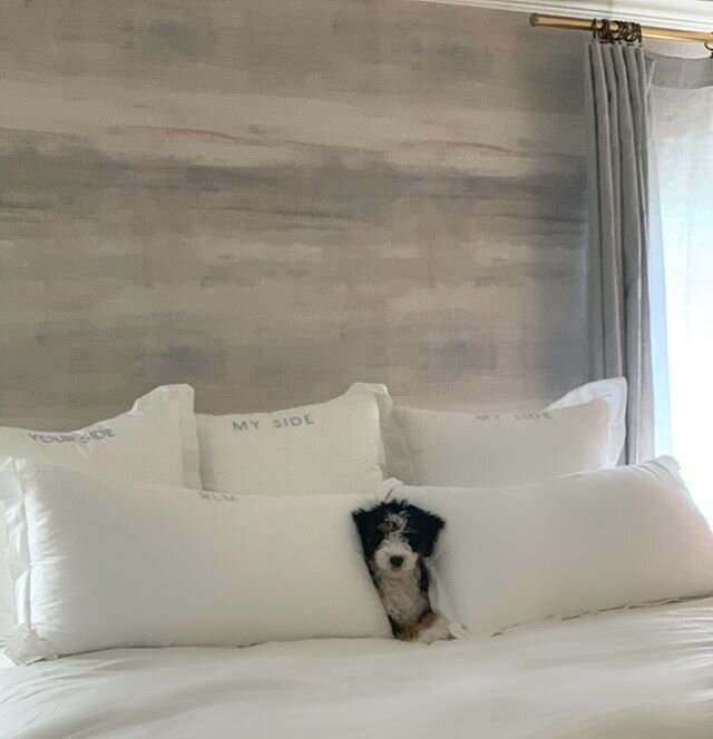 LazY Summer Days. I went back and forth on whether this master bedroom wall needed art or a mirror; but ultimately decided this @bensoncobbstudios wallcovering served as the main attraction on its own! And a cute puppy adds a nice addition too