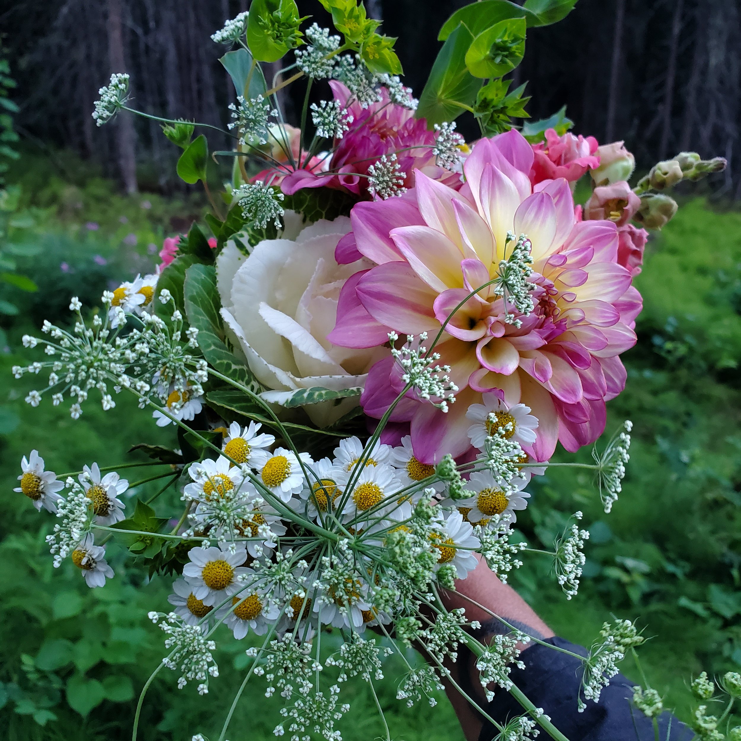 Flower CSA Shares 2026