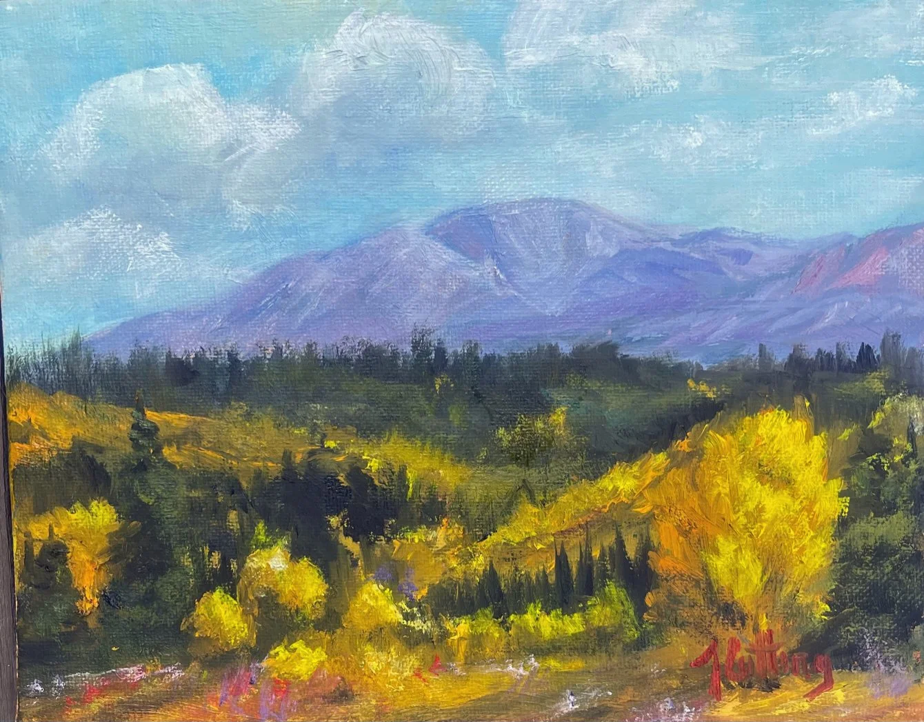 Shining Spectacular.jpg