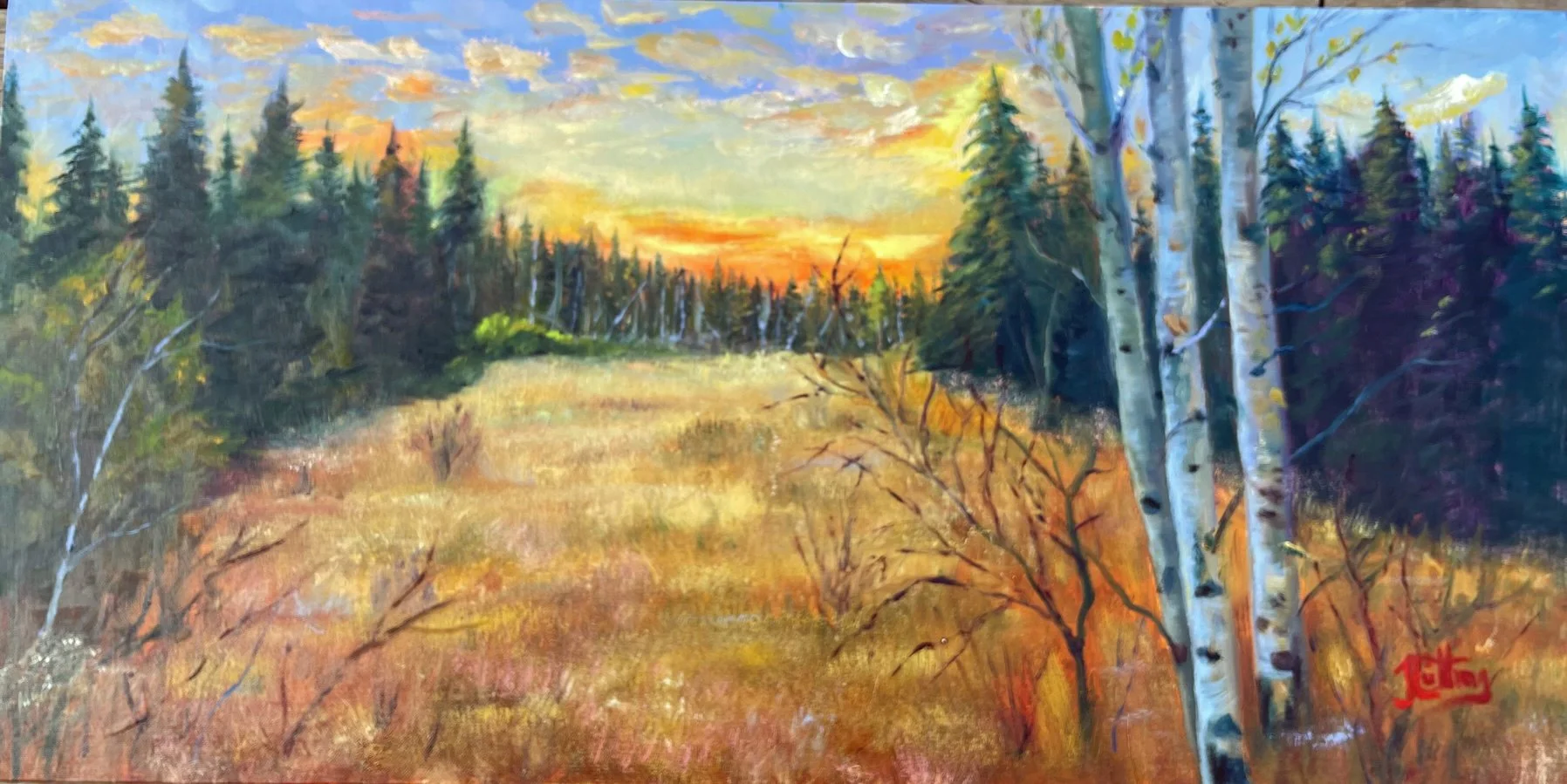 Meadow Glow.jpg