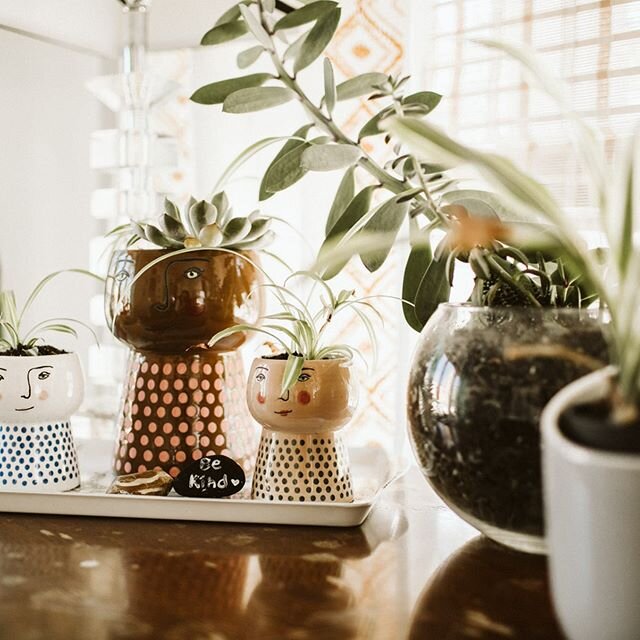 Taking care of our little girl Friday jungle is practically a part time job 🌴🌴🌴 thankful for these beauties that help filter the air a little more in the salon!  What&rsquo;s your favorite houseplant?  I need ALL the green things 👏👏👏 thanks for