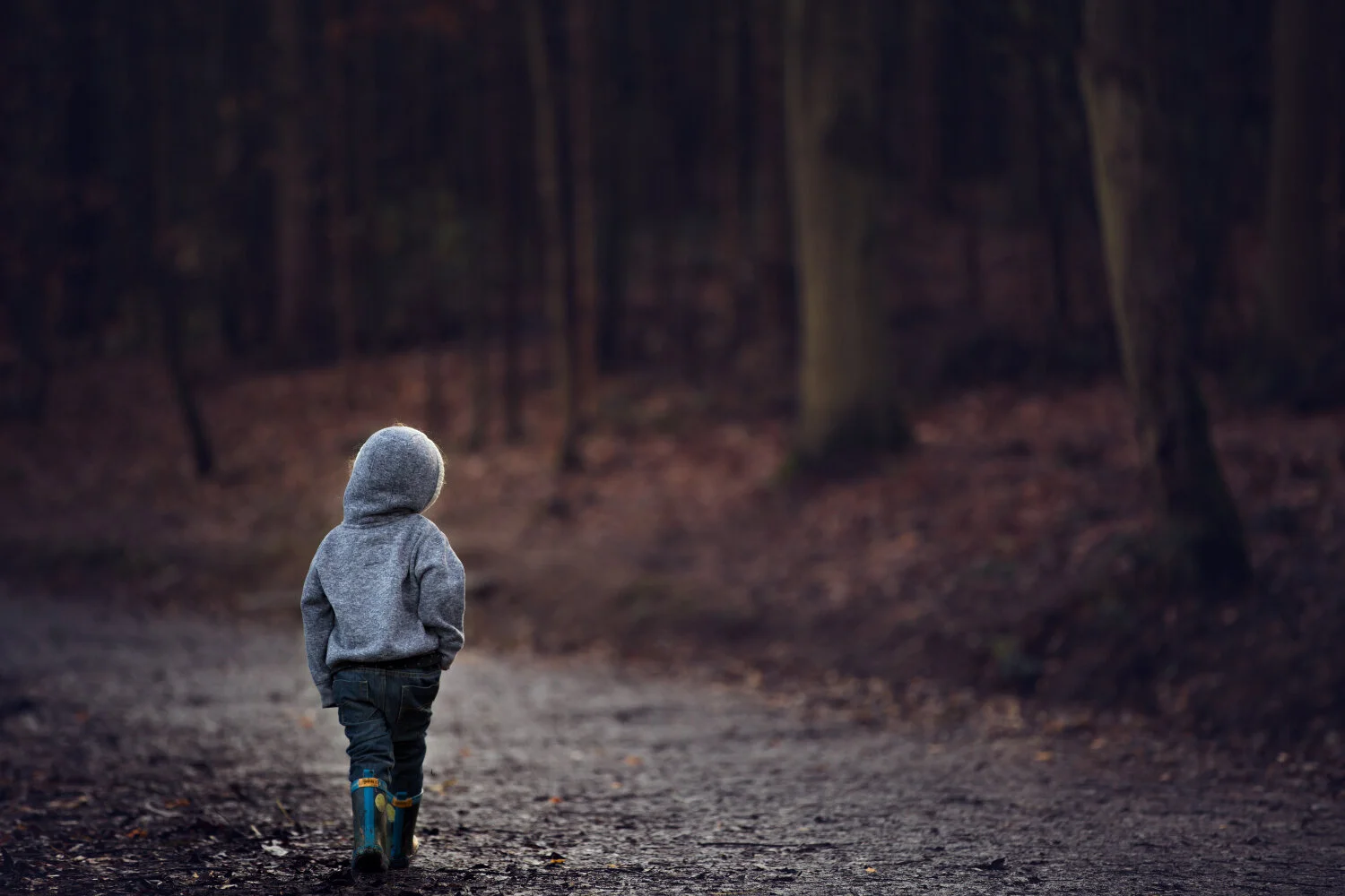 Wellness and wonder