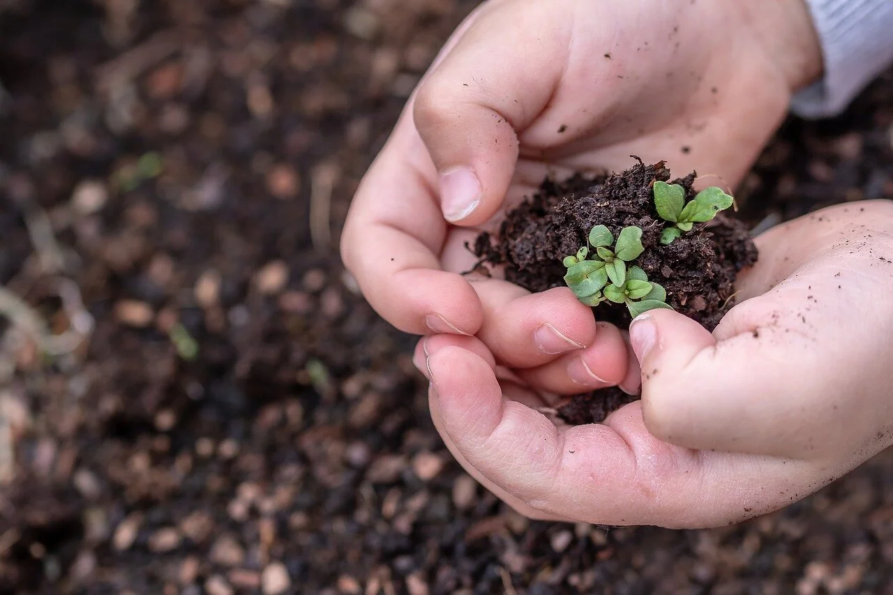 Being positive and planting seeds