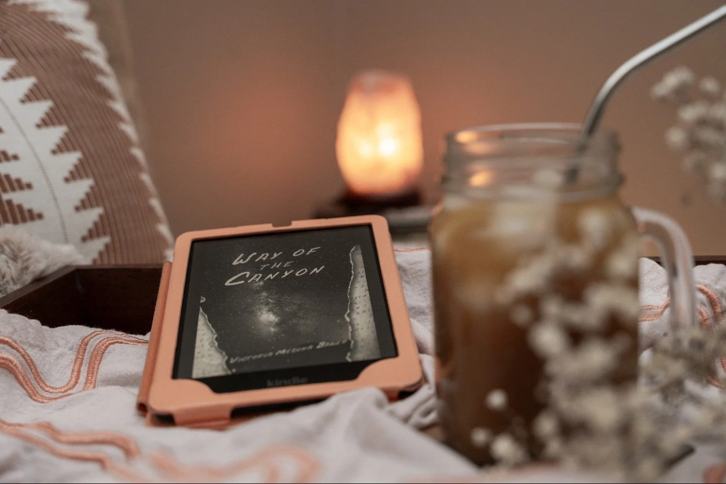Many of us enjoy reading eBooks. I know I went through a time when that was the only way I read a book. I have drifted back to holding a book but truly I enjoy both. I think it is awesome that we have other options for reading in our world these days