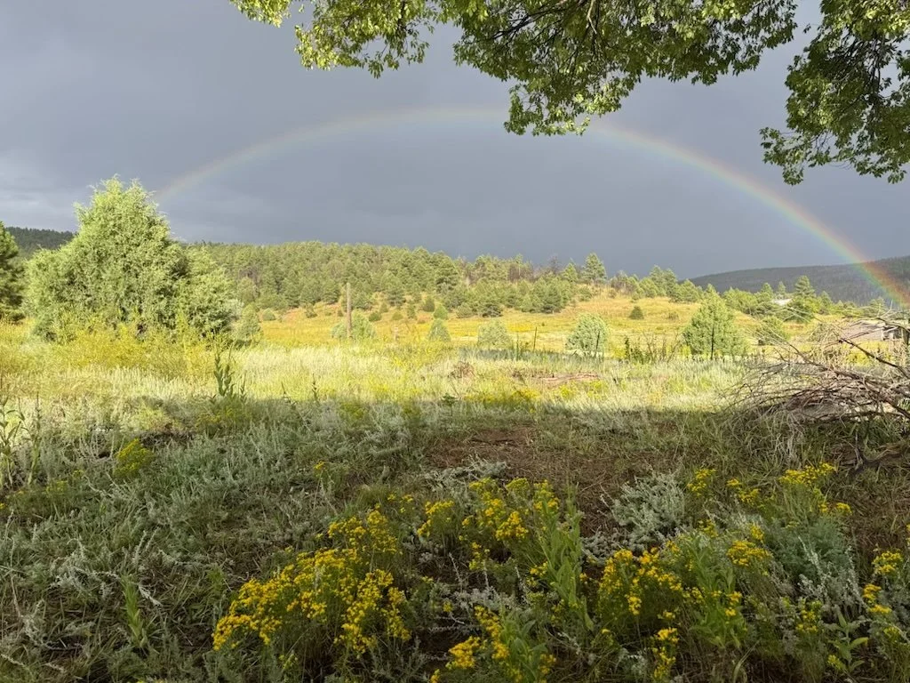 This pic is my view when I sit outside our camper, sip coffee and write. The rainbow is a bonus. It was simply breathtaking. The mornings here are crisp and cool and motivates me especially as a writer. It is the one place I can sit down with my lapt