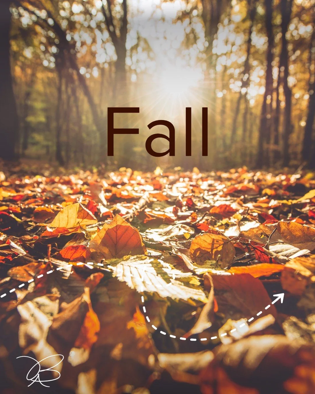 I'm holding onto fall as long as possible this year.

#VictoriaBakerAuthor #Poetry #Fall