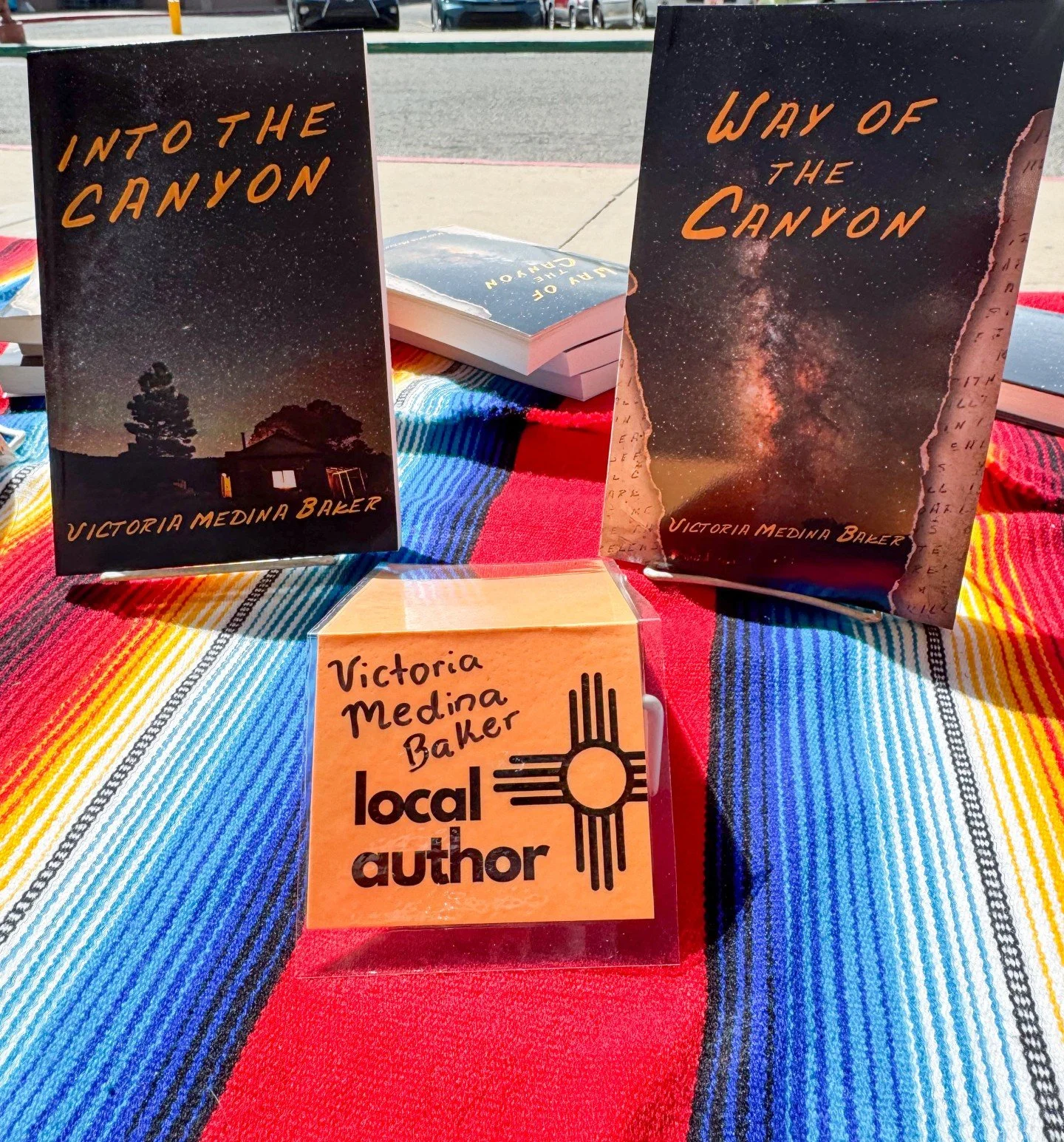 My family and I recently walked into Page One bookstore in Albuquerque. About a year ago we I did a book signing at the front entrance and the bookstore added my books to their shelves. 

When we finished shopping, we looked for my books and found no