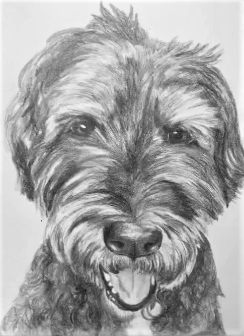 Pup 2.jpg