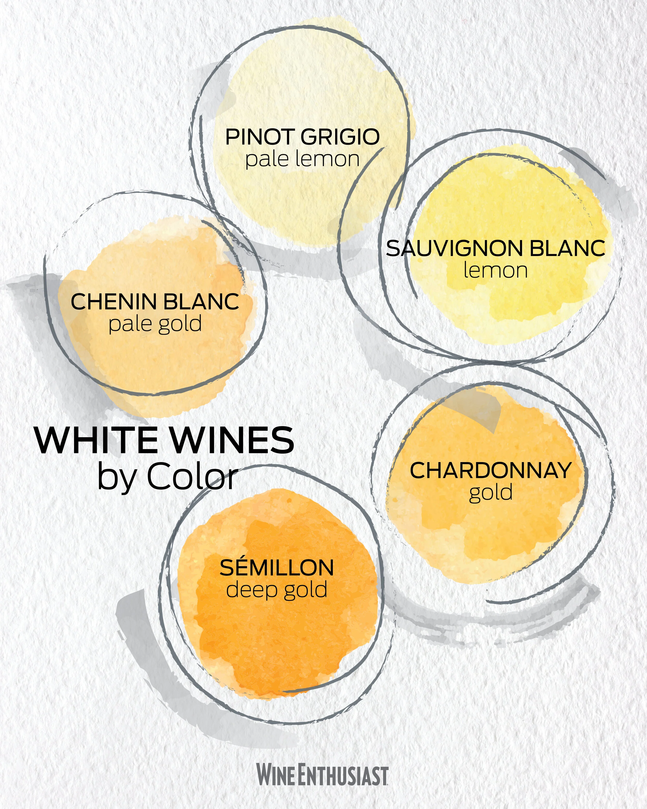 WinesByColor_Whites_Mdimas_new-01.jpg