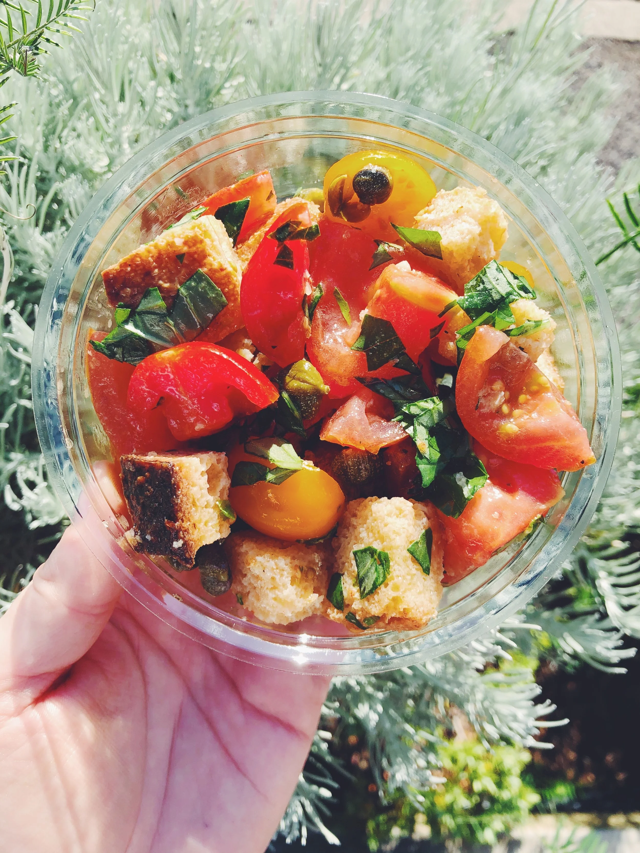 panzanella_salad_pot.JPG