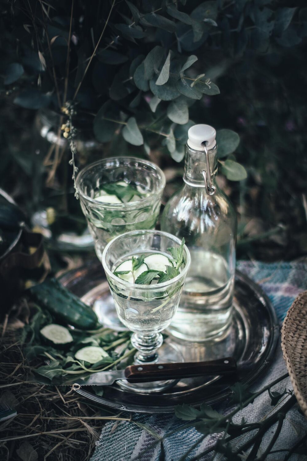 Persian Cucumber Sekanjebin Drink  13.jpg