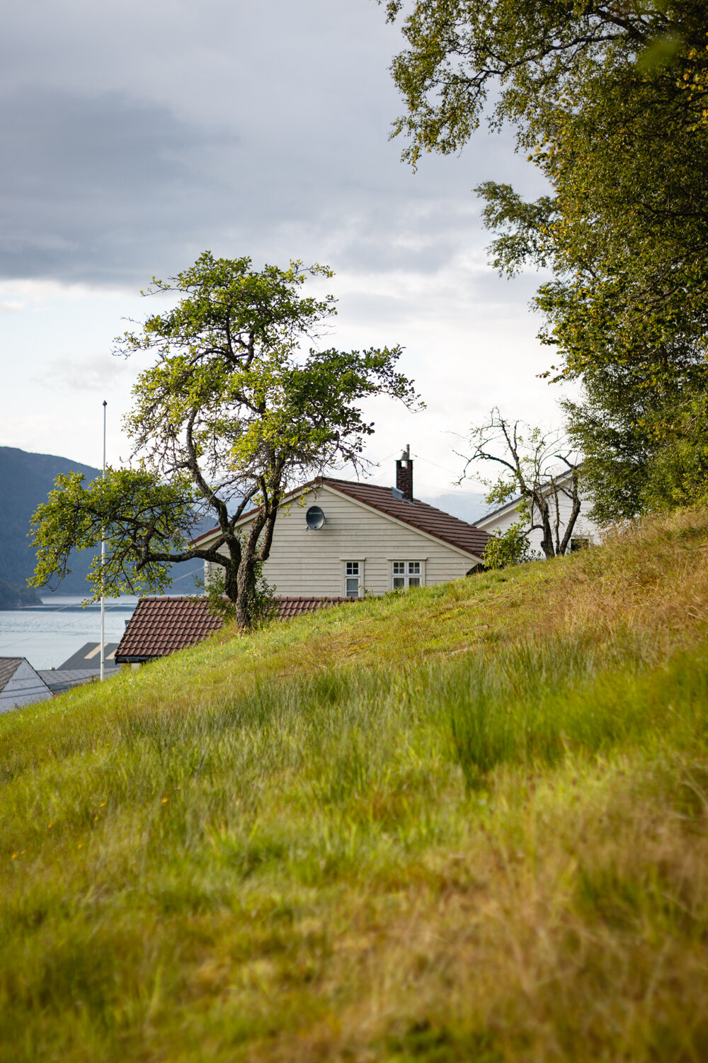 Summer-in-Norway-Rømmegrøt 10.jpg