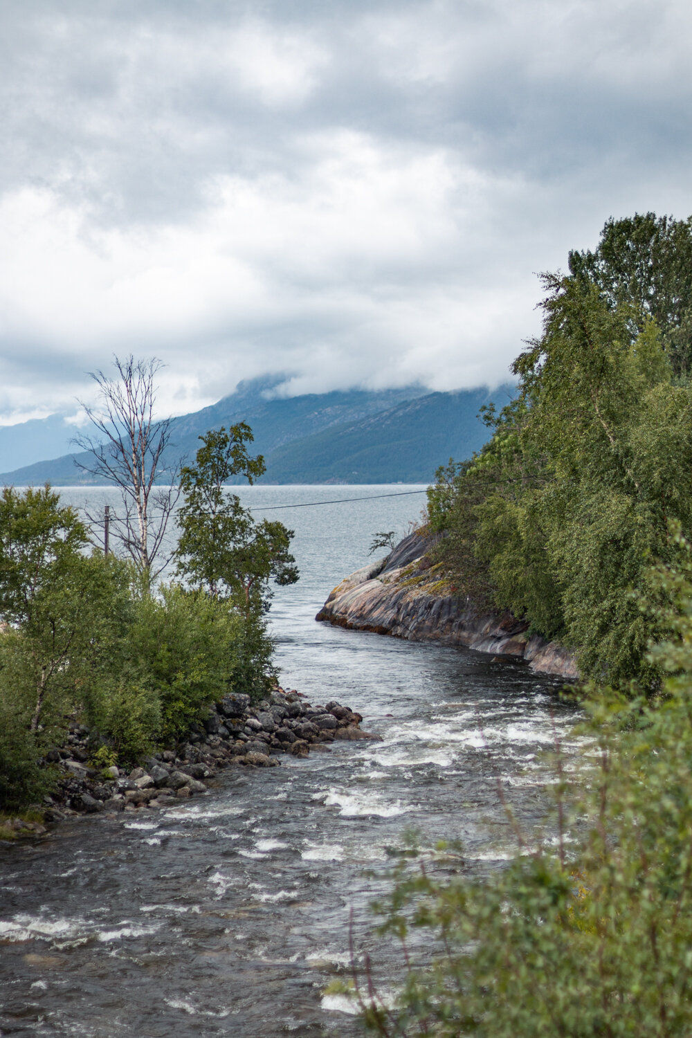 Summer-in-Norway-Rømmegrøt 15.jpg