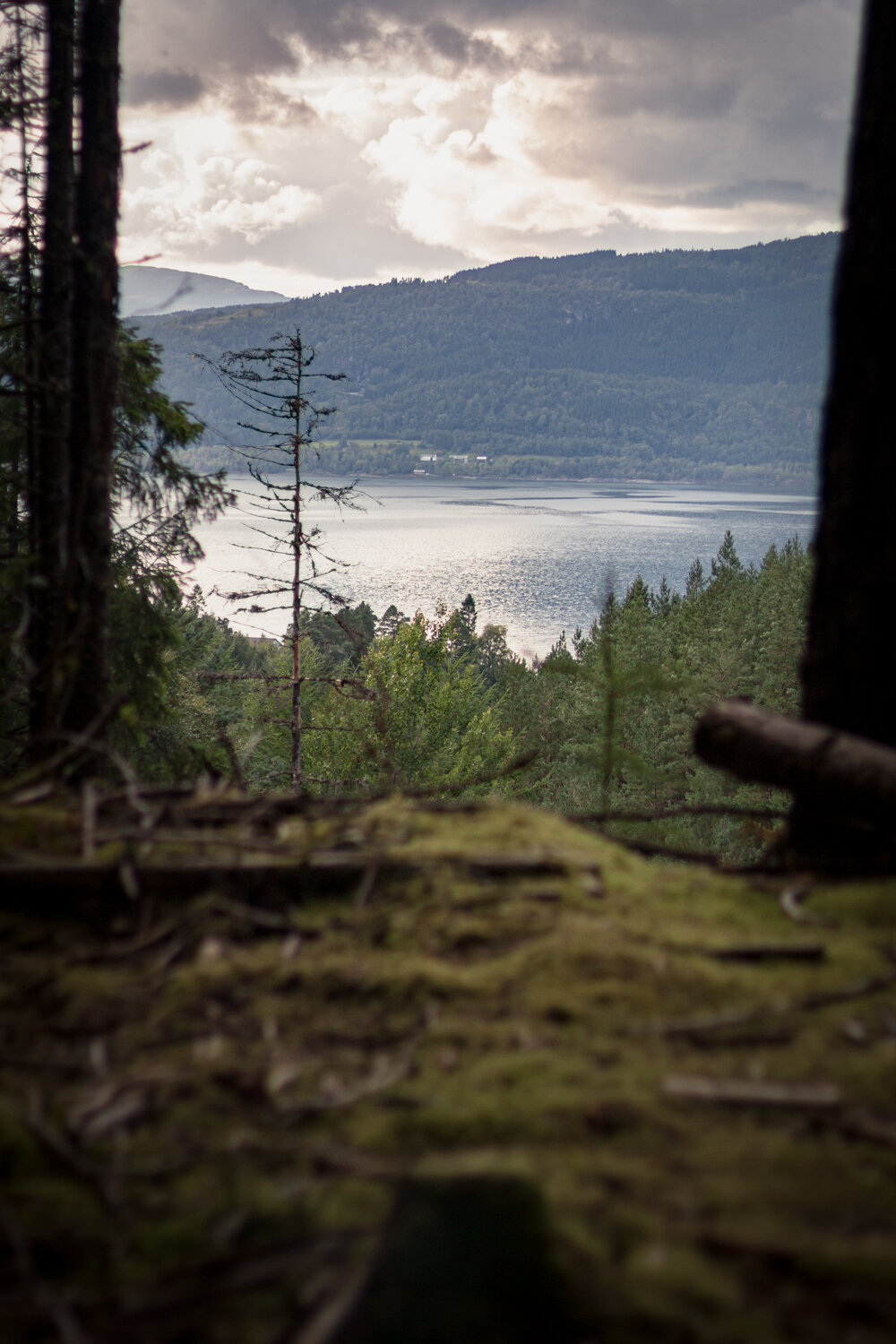 Summer-in-Norway-Rømmegrøt 74.jpg