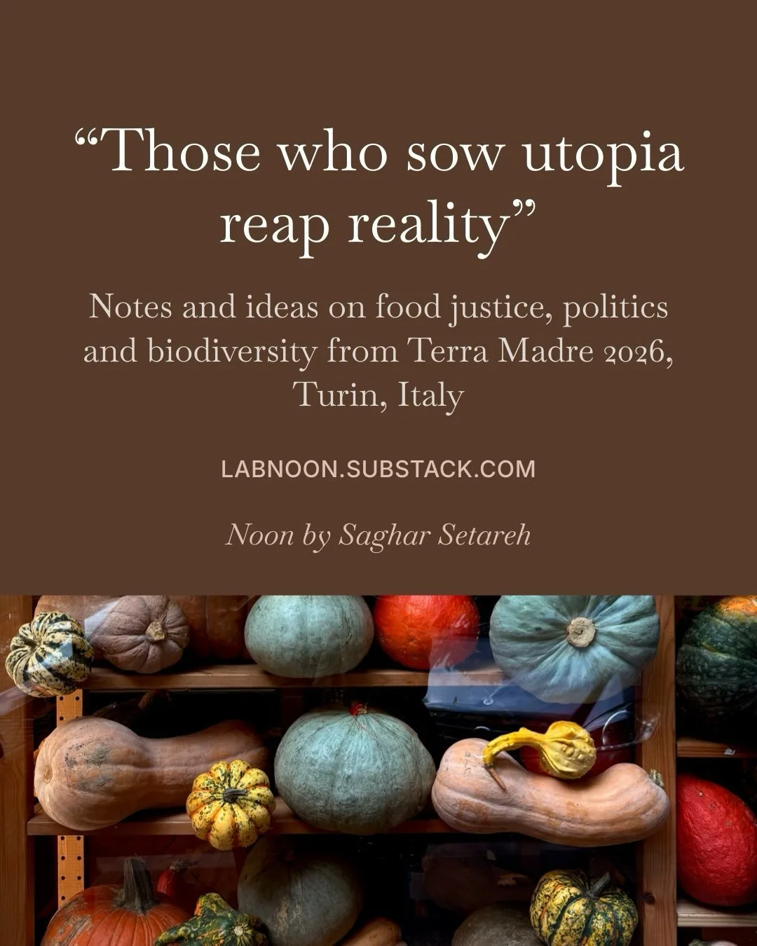 Now live on my newsletter (link on bio) are some notes and reflections that I jotted down at the panels I attended at Terra Madre. Ideas, questions and calls to action regarding the current situation of food justice in the world, facing the realities