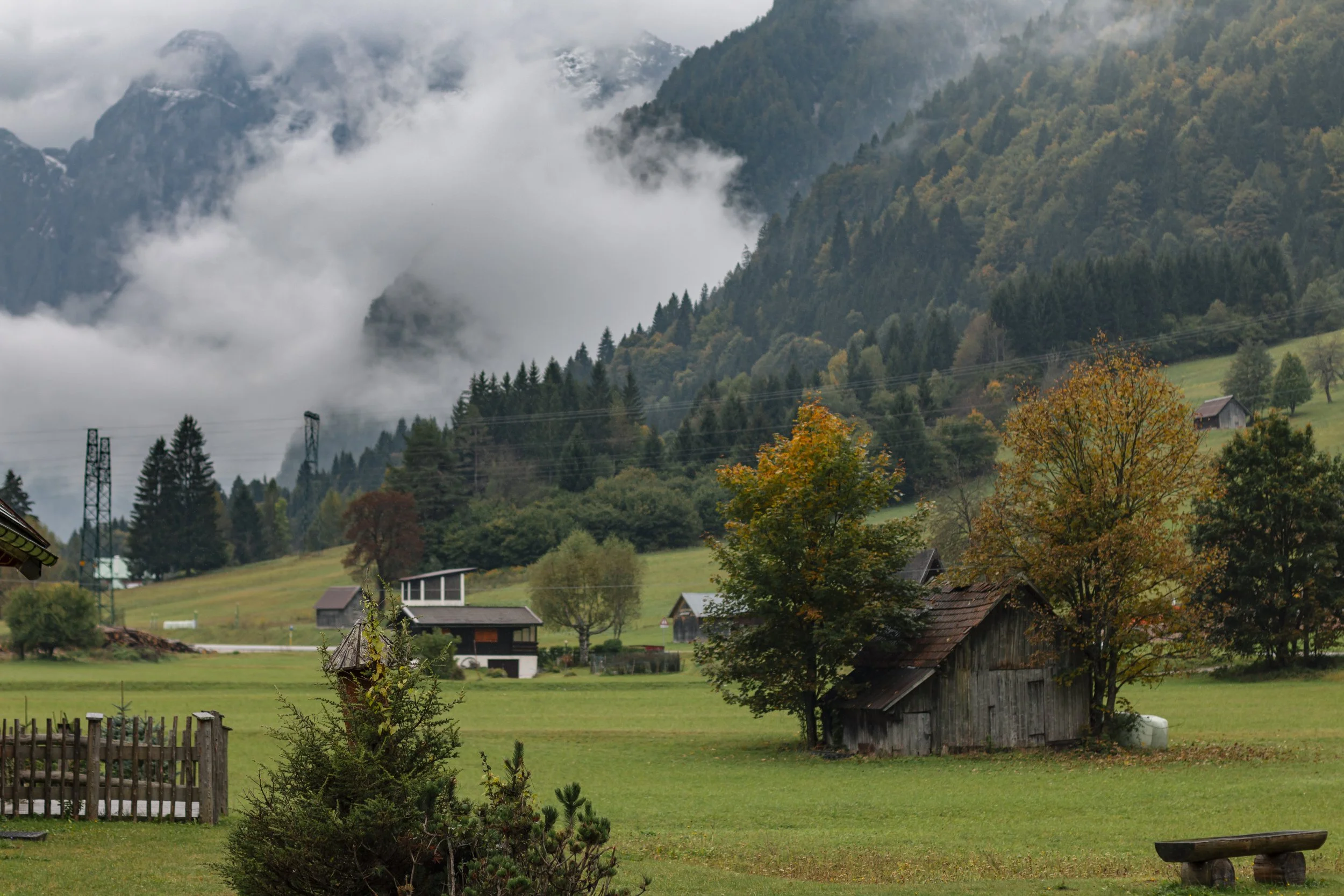 IMG_4781-Edit.jpg