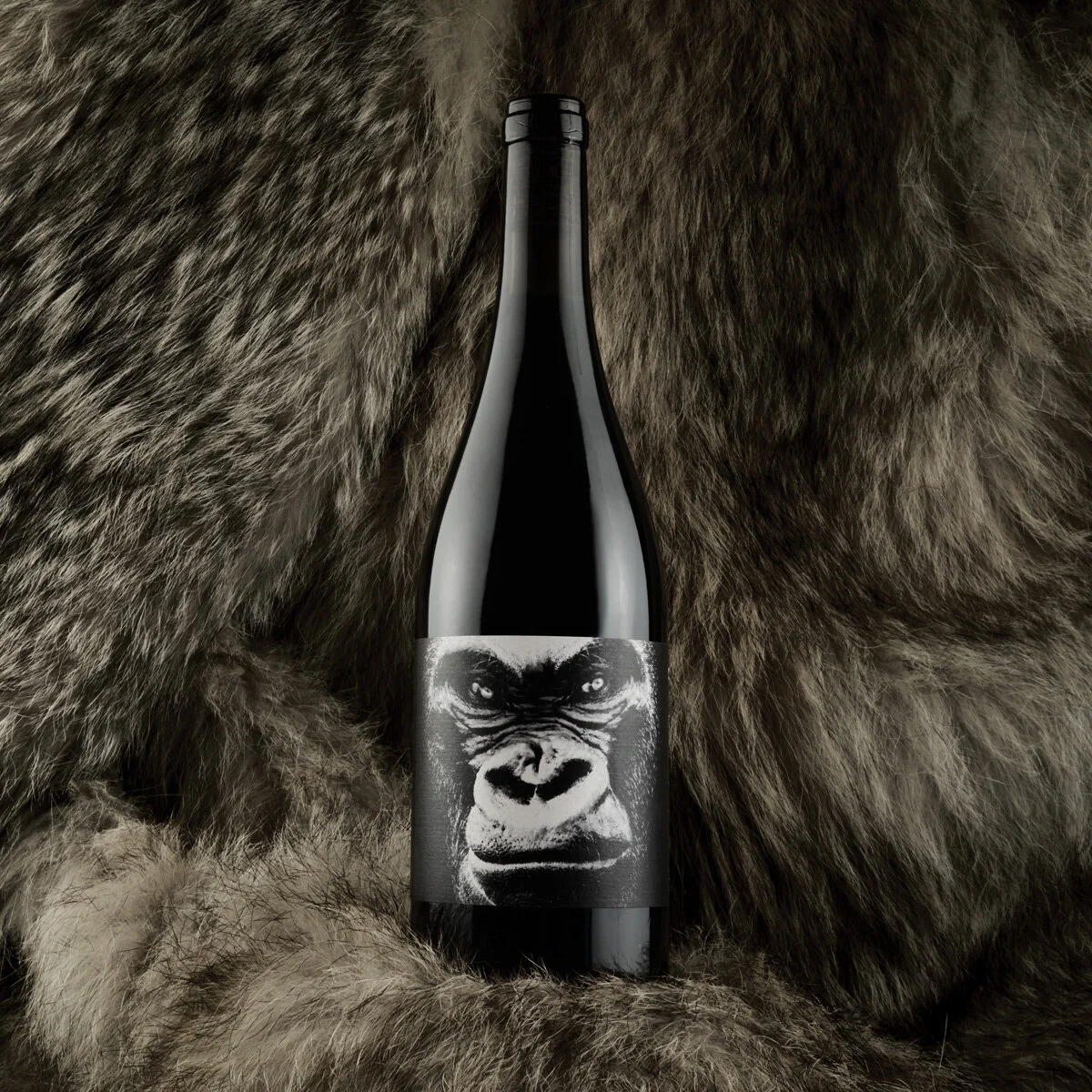 L’INDOMPTAPLE - 100% SyrahÉlevage en barriques et en cuvesParcelle: Gramegne14%.vol
