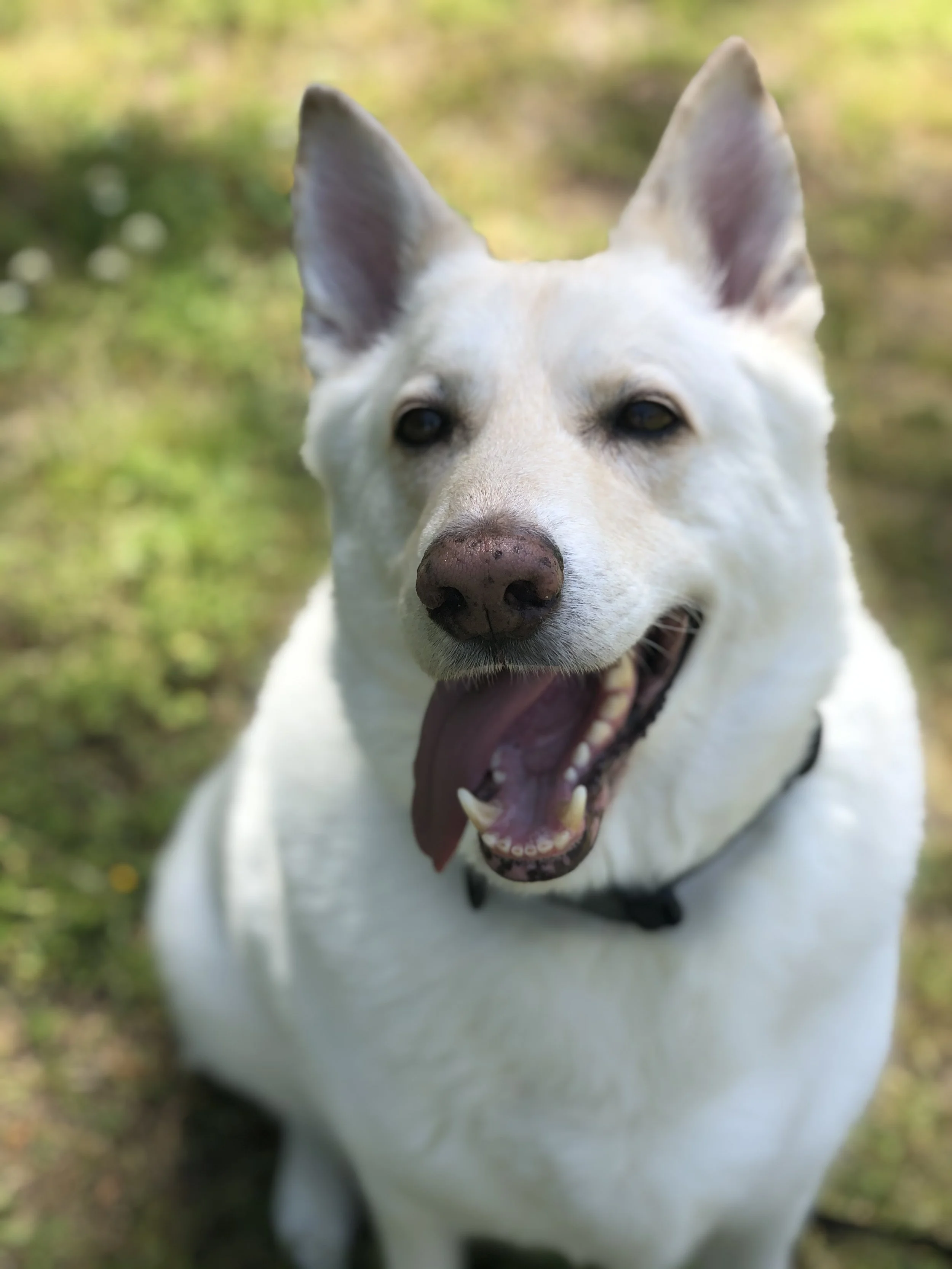 IMG_2187iCloud Photos from Ruth Blais.JPEG