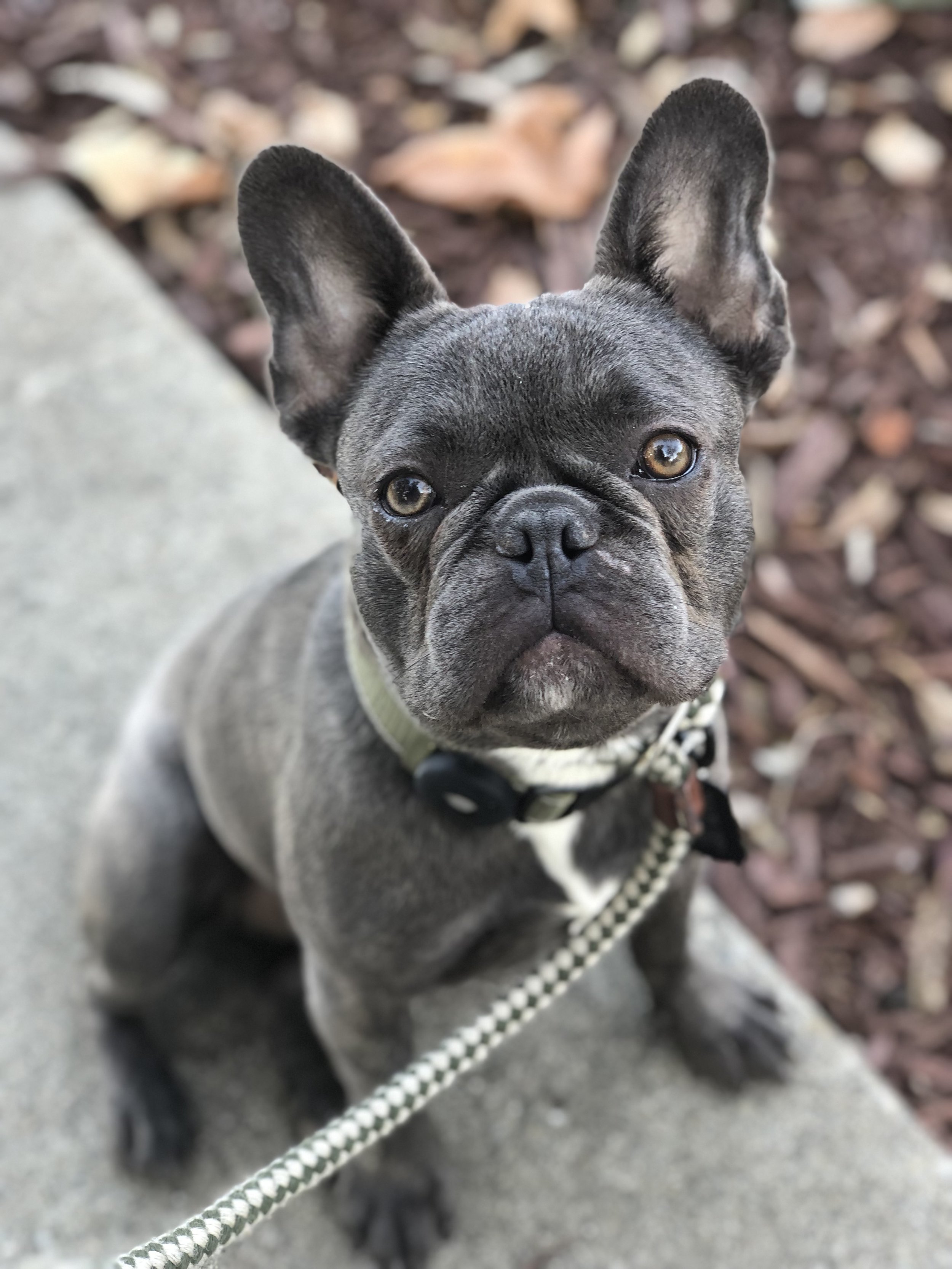 IMG_5180iCloud Photos from Ruth Blais.JPEG