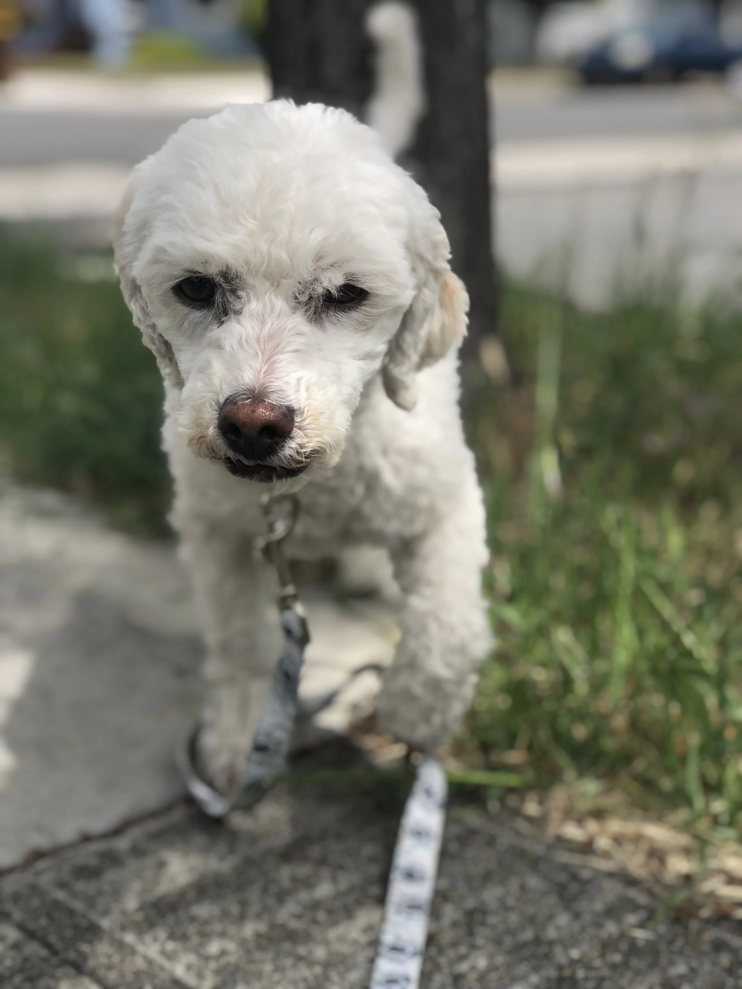 IMG_0355iCloud Photos from Ruth Blais.JPEG