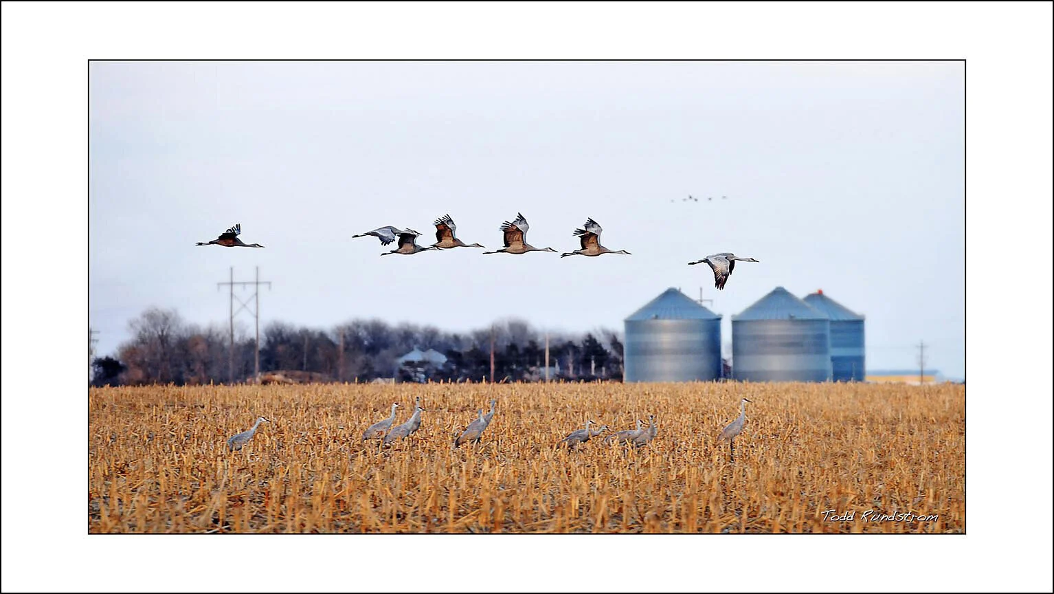 Looking For A Landing