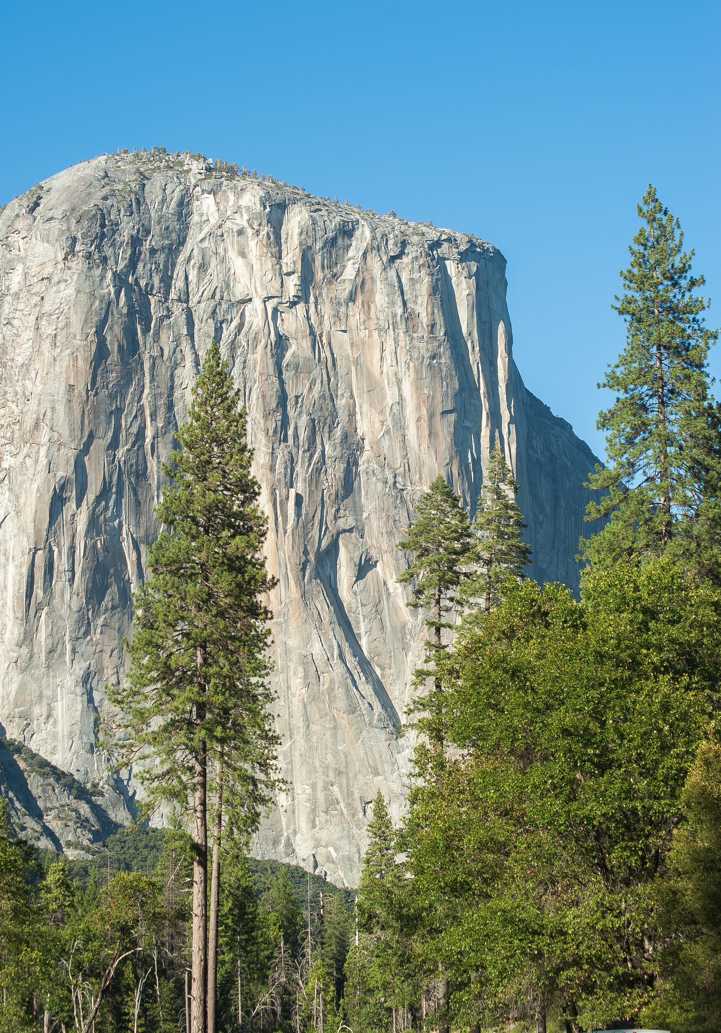 04=2019-07-31.jpg