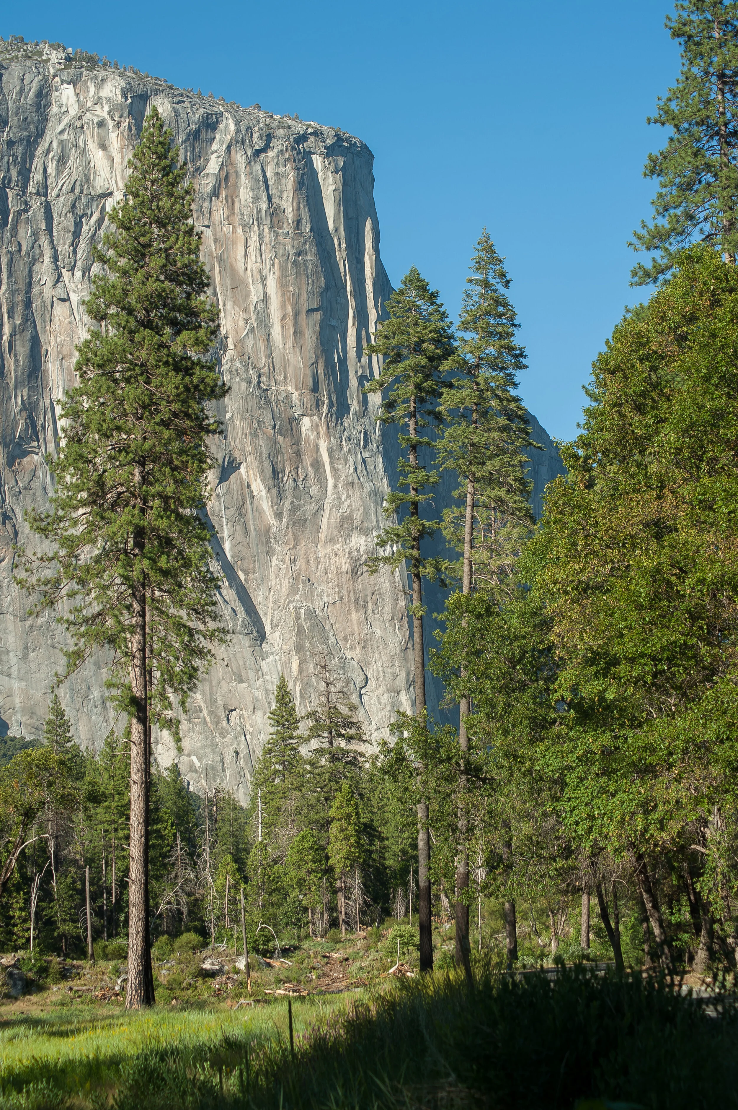 06=2019-07-31.jpg