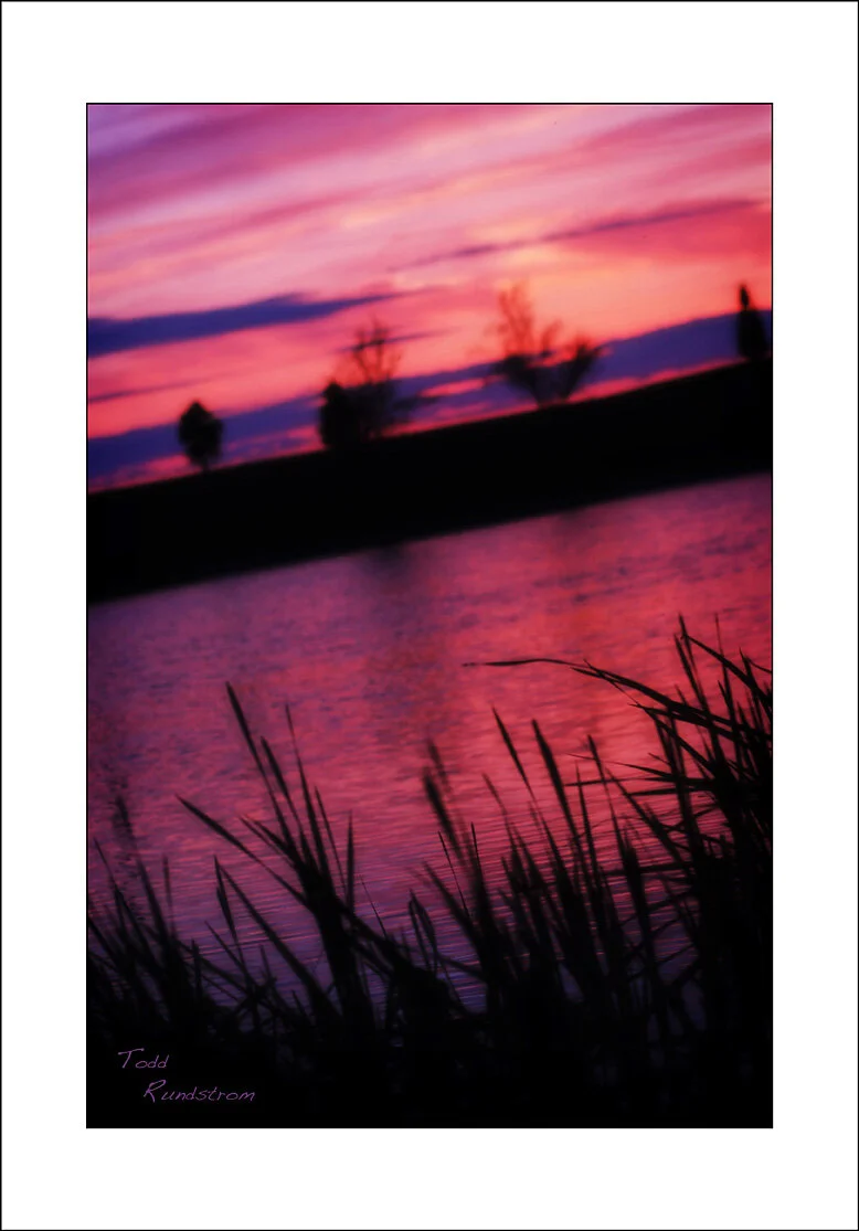 Yanney Park Sunset [0052]
