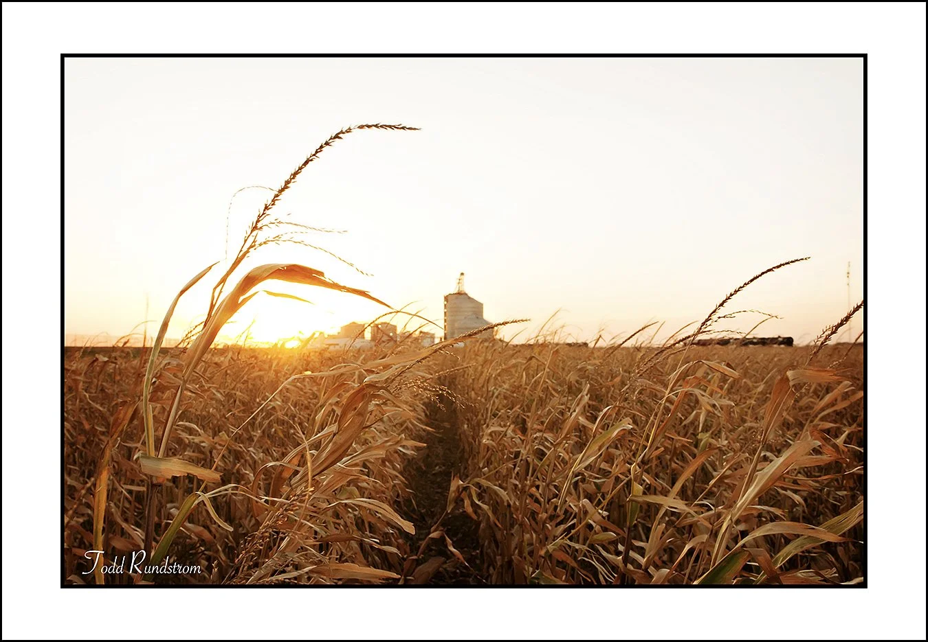 Harvest Sunset = [0070]