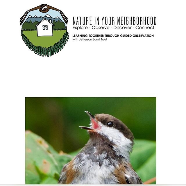 This was kind of a dream for me to be able to collaborate with a non-profit organization like @jeffersonlandtrust that works with landowners to permanently protect wildlands, wildlife corridors and farmlands from development. .......
.
With the help 