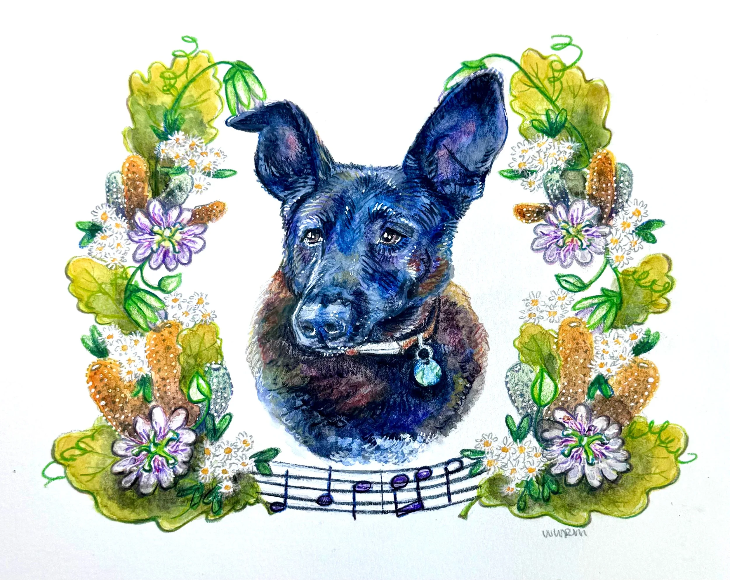 Song portrait.jpg