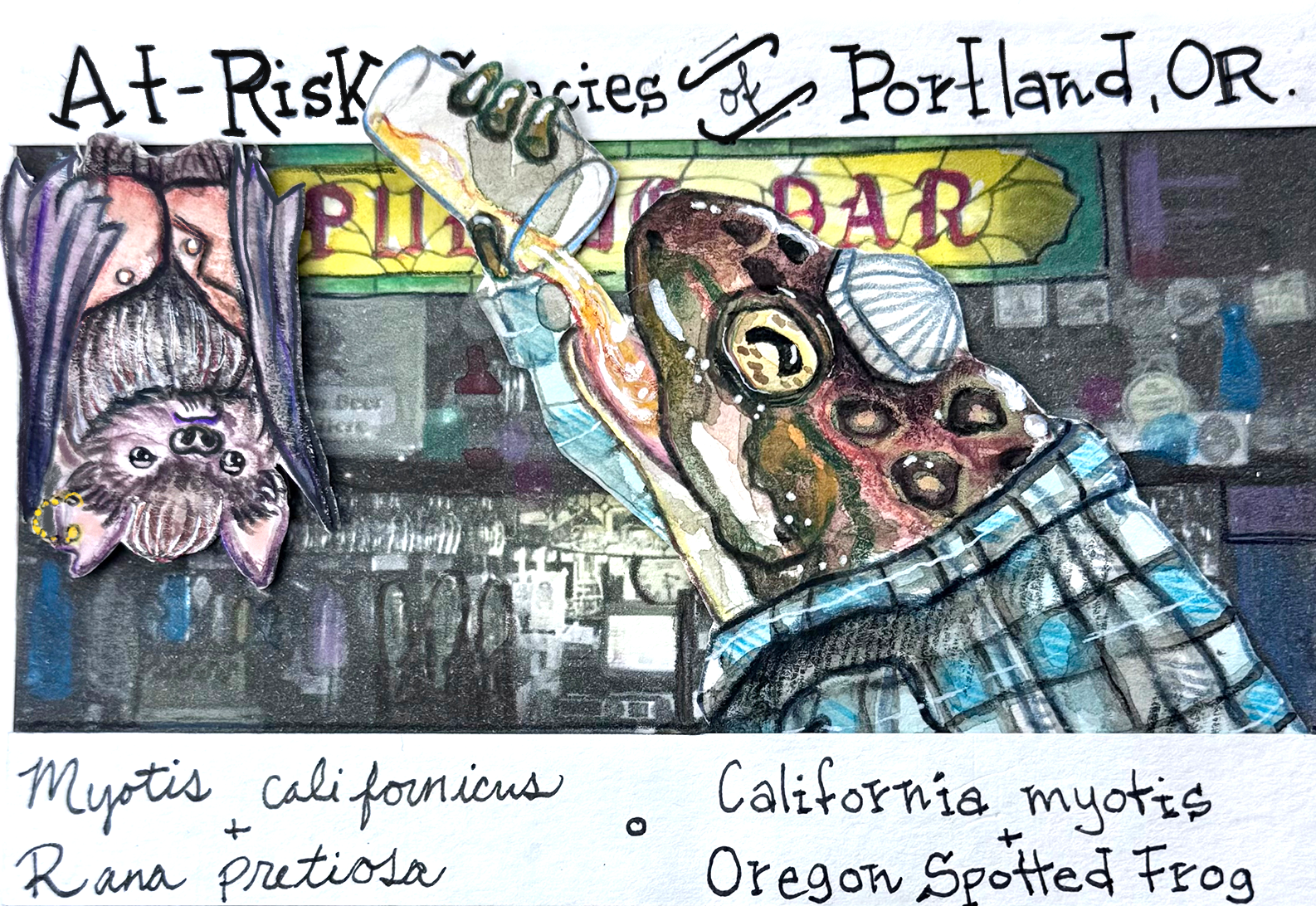 California myotis & Oregon Spotted Frog-clean.png