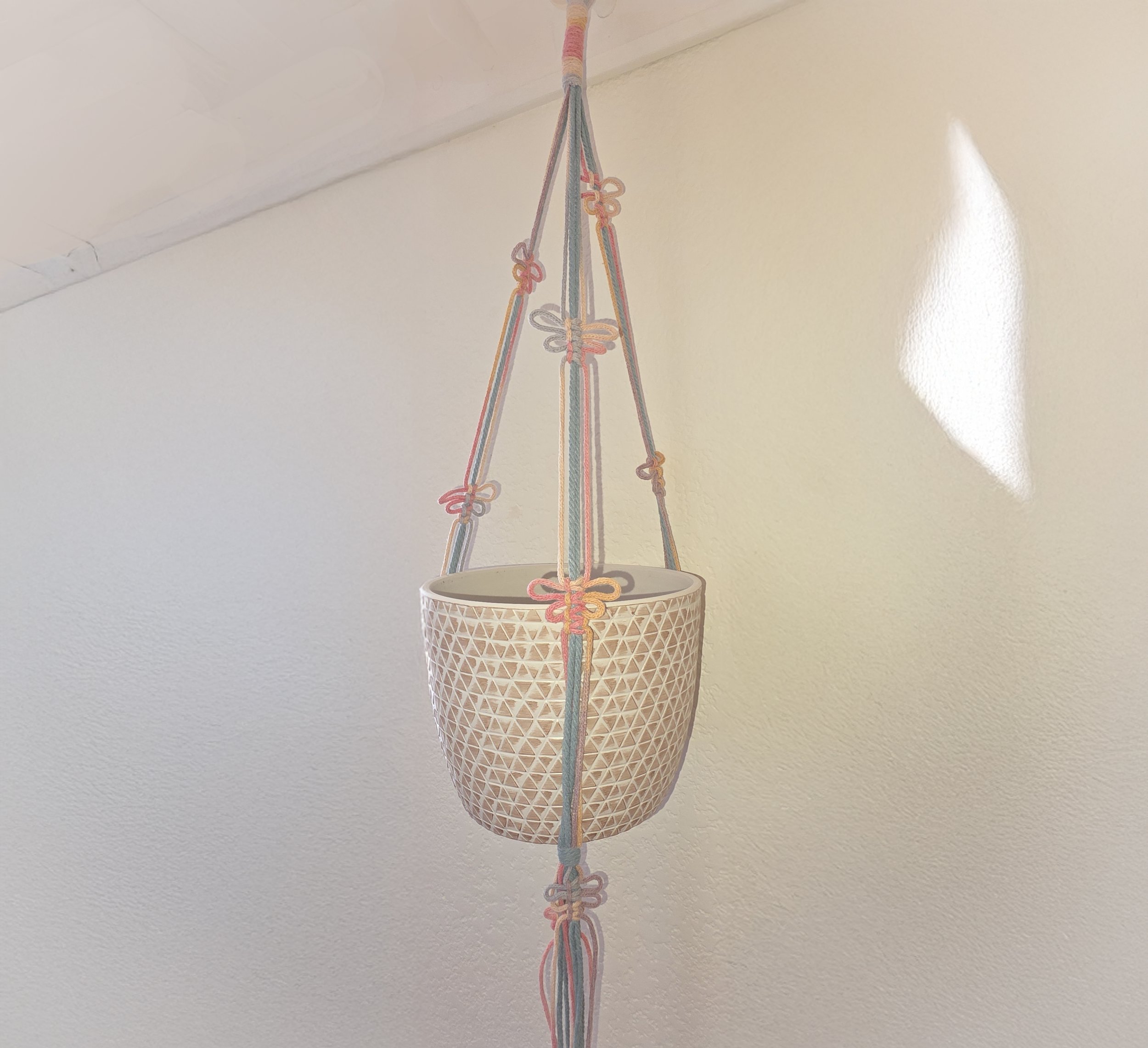 20260128_111712 - Laurie Holman copy.jpg