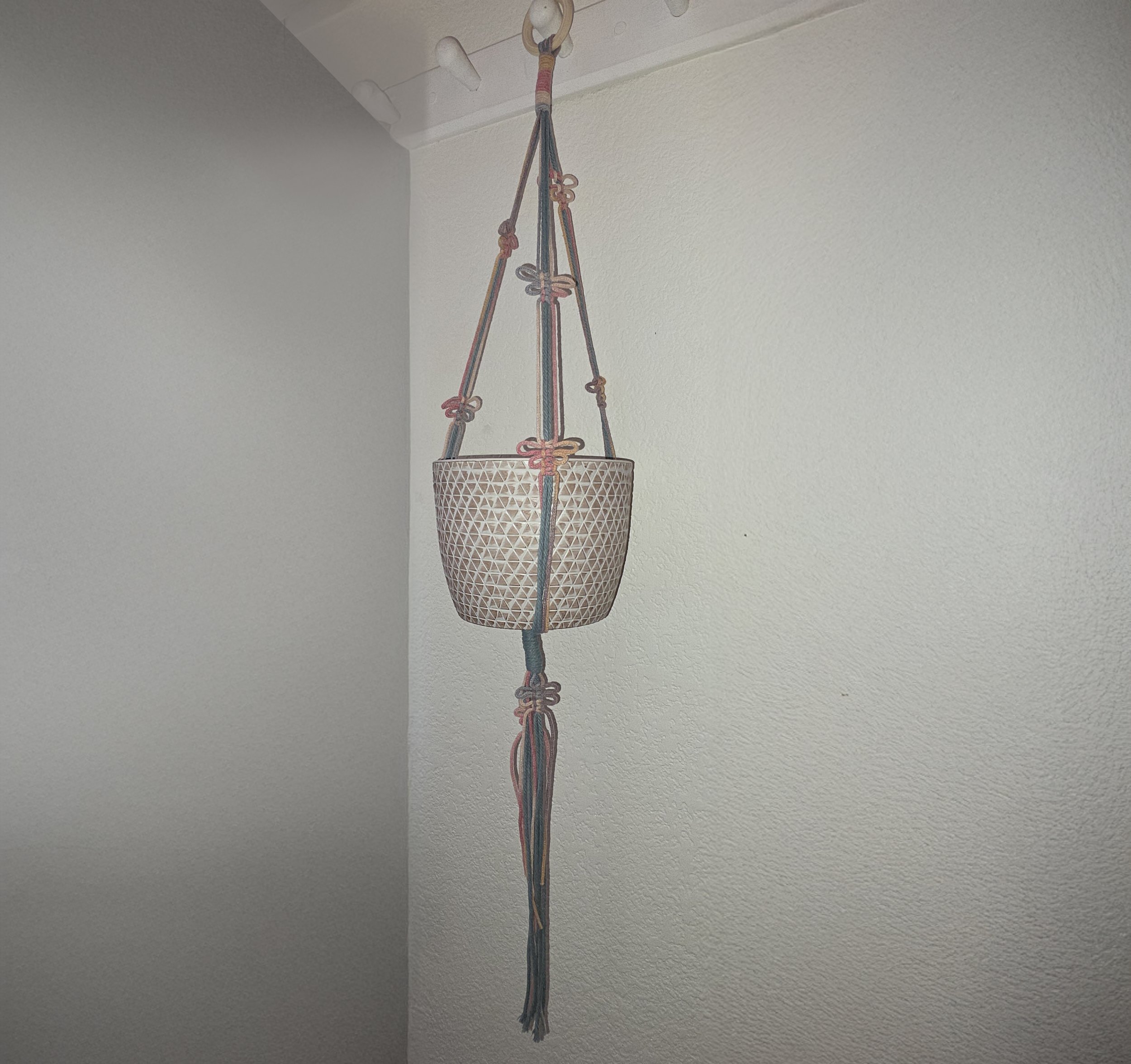 20260128_111550 - Laurie Holman copy.jpg