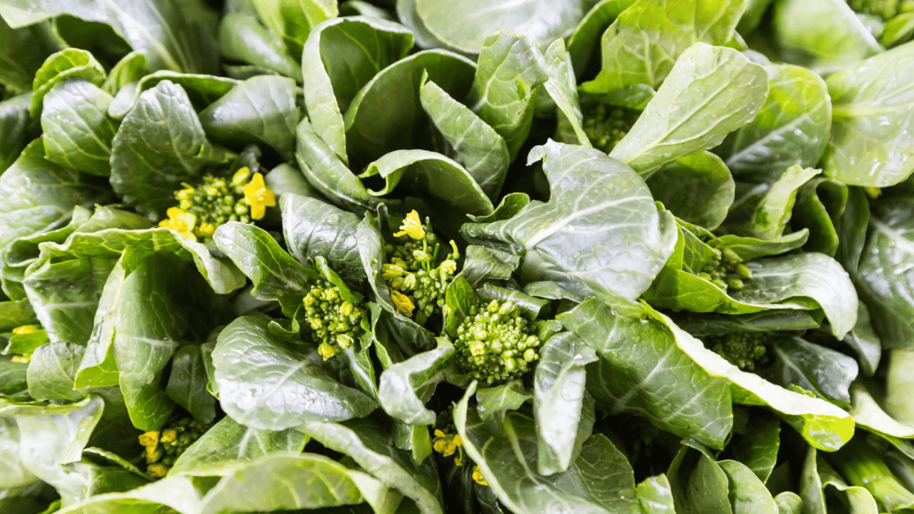 types of Asian greens