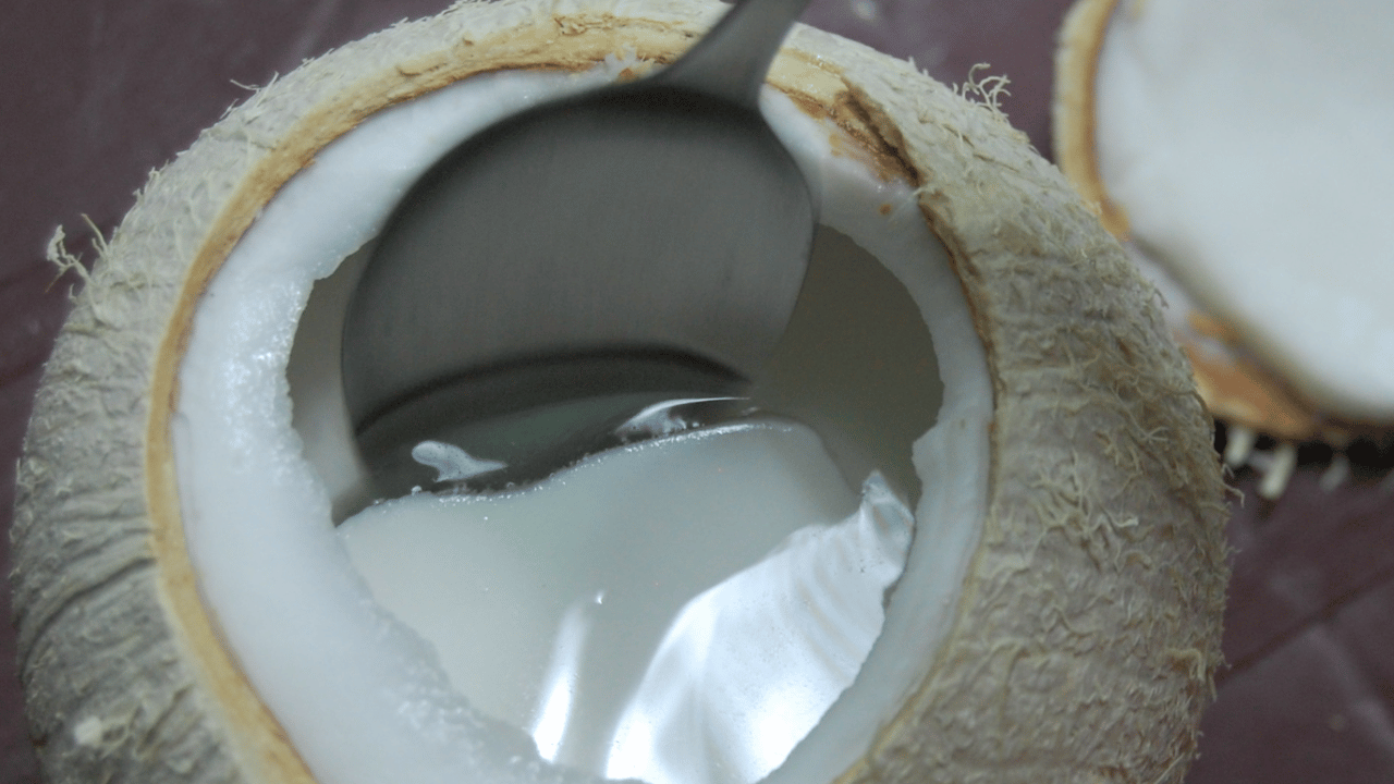 Main Ingredients Used in Coconut Jelly Vietnamese