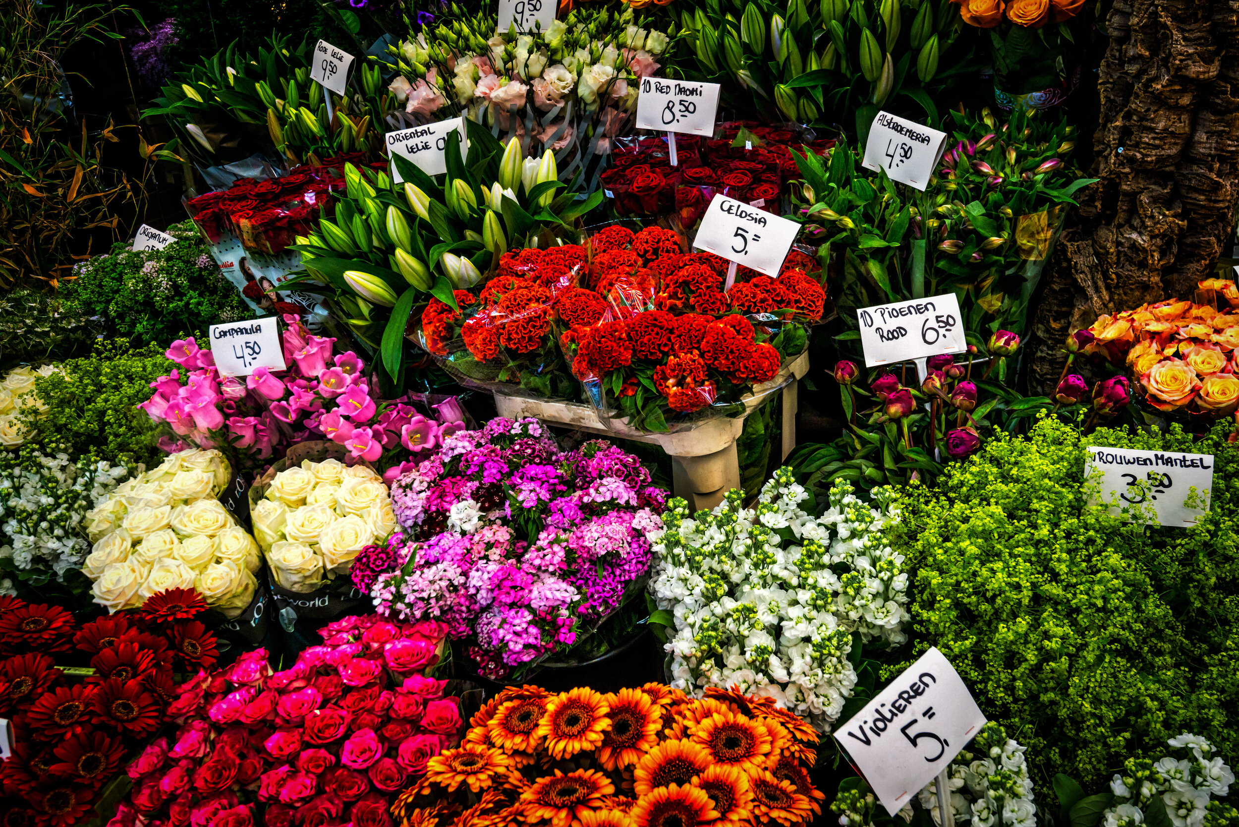 Amsterdam's Flower Market