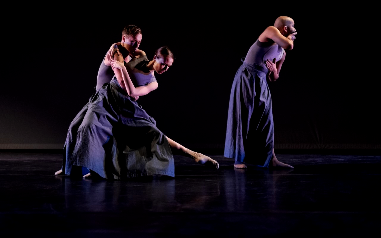 Vitacca Ballet Pro Folding Promises. Roderick George 6.png