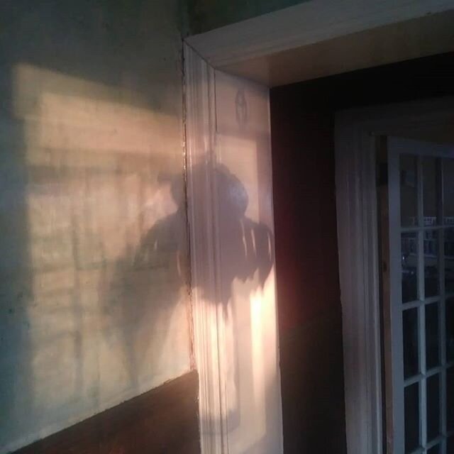 Another shadow on the wall. I'm constantly drawn to this changing image.