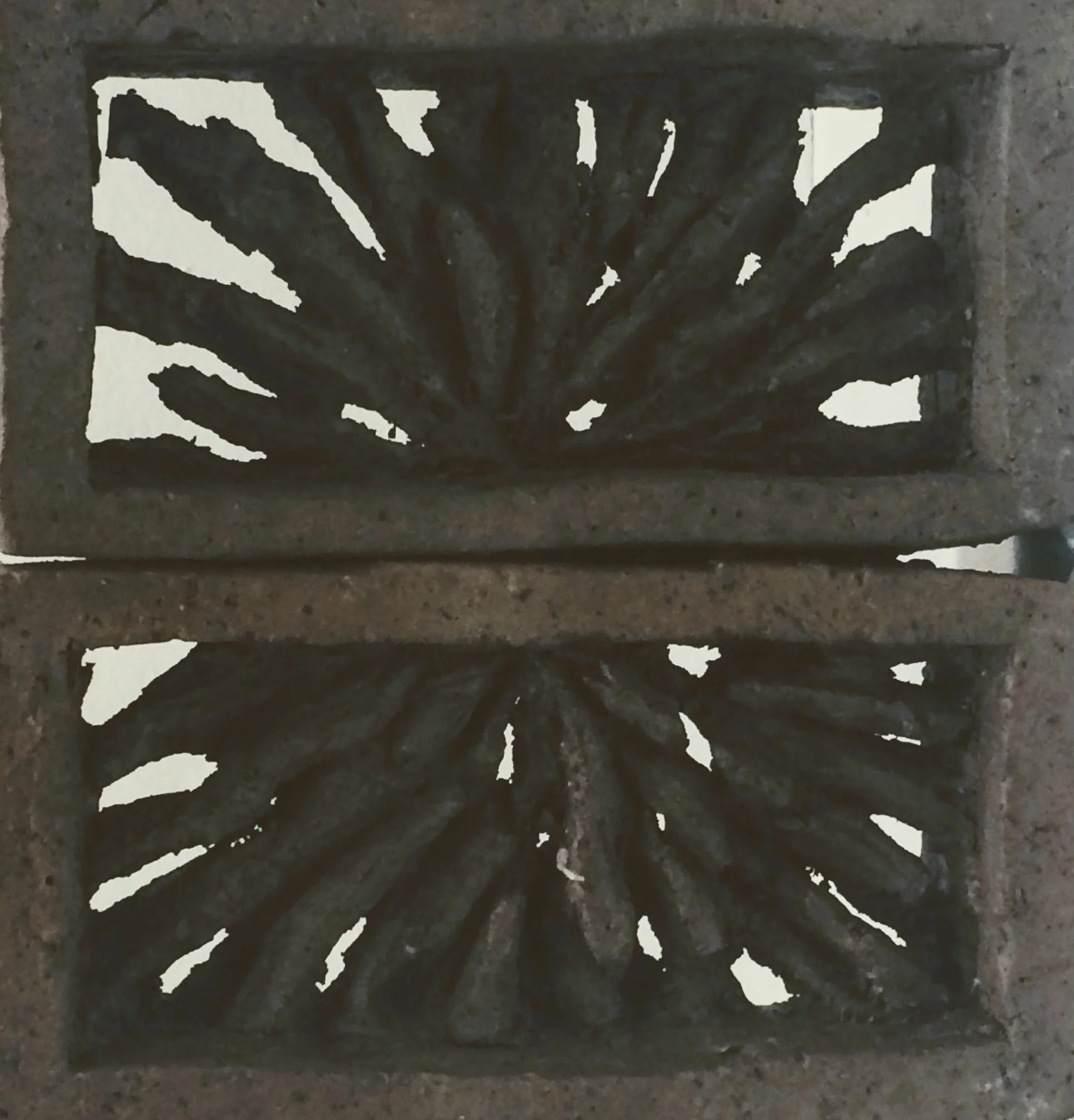 sunburst detG_1813.jpeg