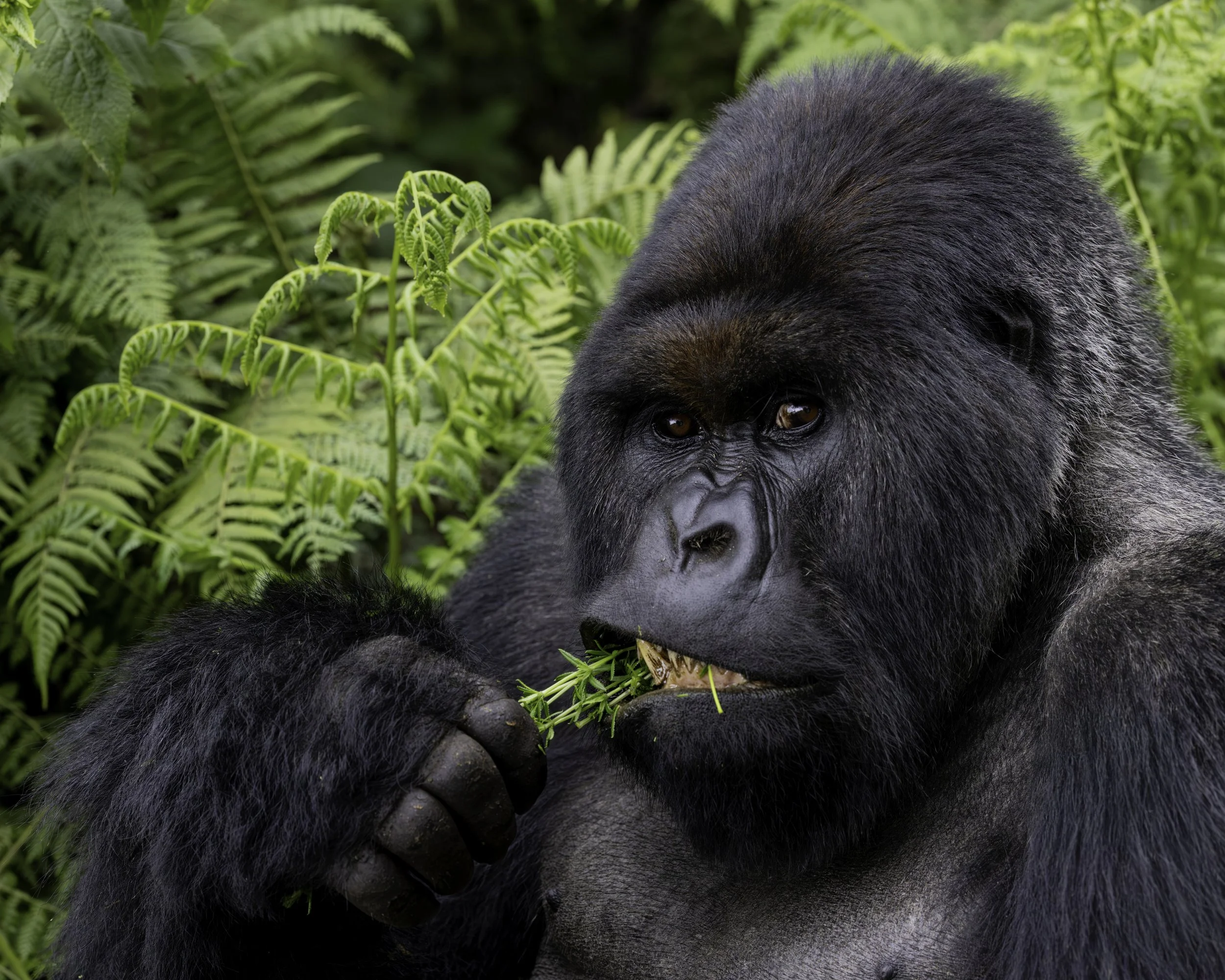 A25A5341-8x10 copy.jpg