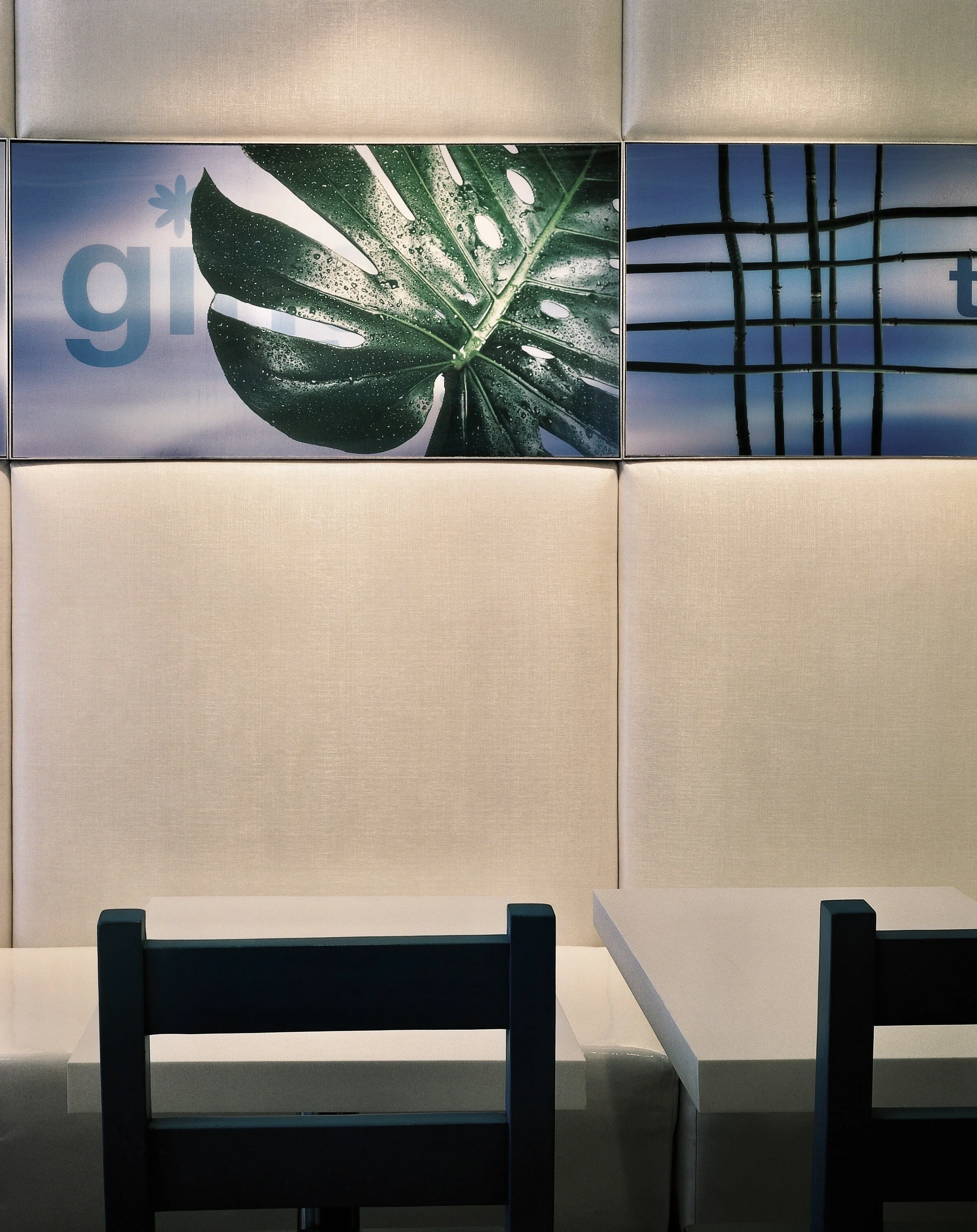 Lenticular Detail_2-min.jpeg