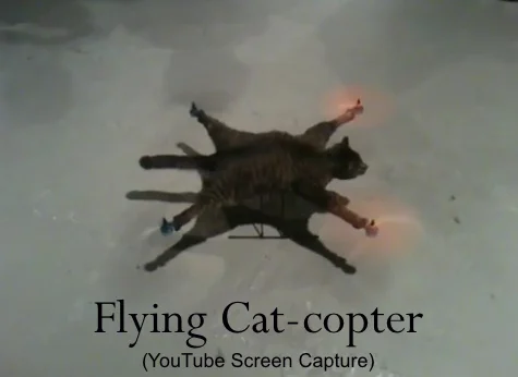 Flying Catcopter - Weird Tech News