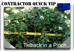 Deck Stain Tip - Bush Tieback